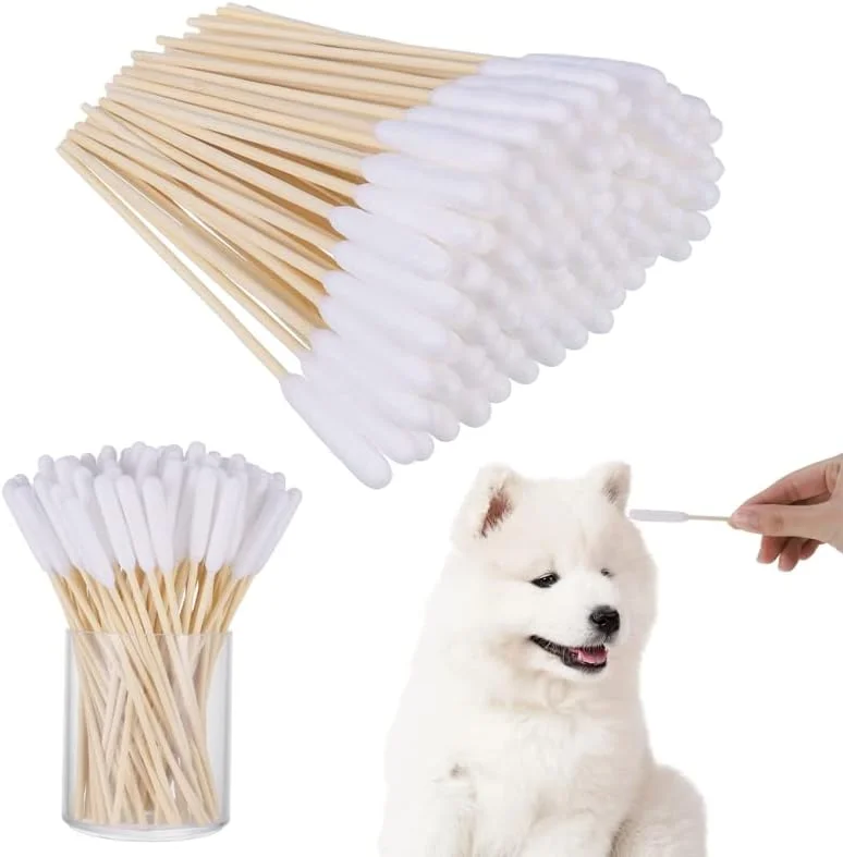 بسته ۱۰۰ عددی گوش پاک کن پنبه ای سگ، ۱۵ سانتی متری، پاک کننده گوش برای سگ ها، گوش پاک کن چوبی برای حیوانات خانگی، سگ ها، گربه ها بسته ۱۰۰ عددی گوش پاک کن پنبه ای سگ، ۱۵ سانتی متری، پاک کننده گوش برای سگ ها، گوش پاک کن چوبی برای حیوانات خانگی، سگ ها، گربه ها