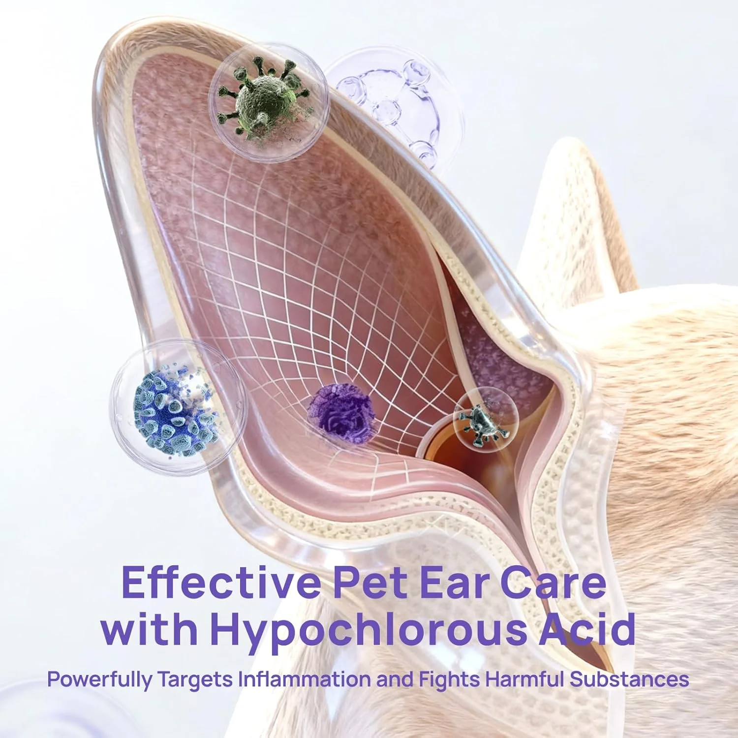 محلول تمیز کننده گوش سگ و گربه HICC PET، درمان عفونت گوش سگ برای تسکین خارش و التهاب - قطره گوش برای سگ و گربه برای از بین بردن ملایم آلودگی، جرم، تجمع موم و بو - 118 میلی لیتر محلول تمیز کننده گوش سگ و گربه HICC PET، درمان عفونت گوش سگ برای تسکین خارش و التهاب - قطره گوش برای سگ و گربه برای از بین بردن ملایم آلودگی، جرم، تجمع موم و بو - 118 میلی لیتر