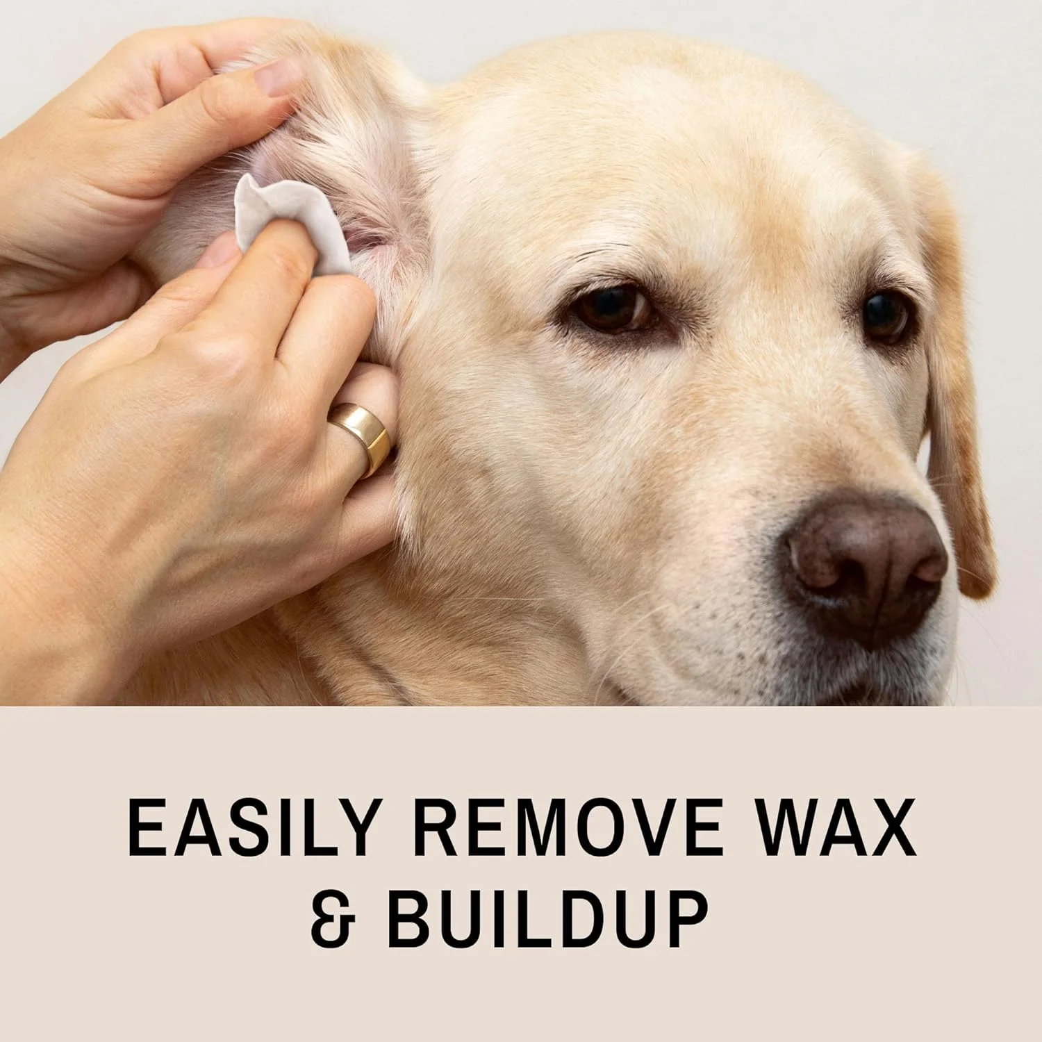 دستمال مرطوب پاک کننده گوش سگ آی انوی - بسته 60 عددی