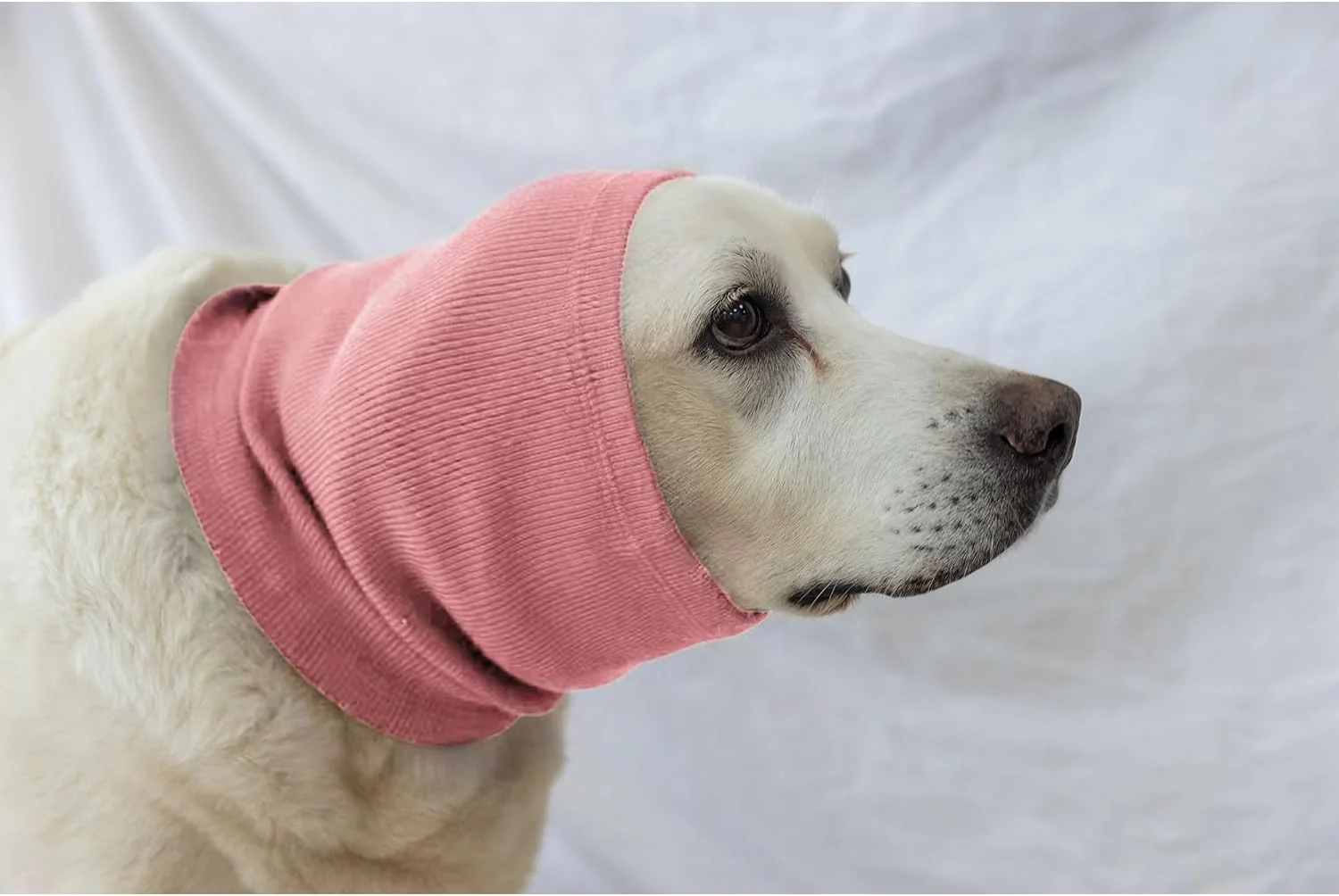 گرمکن گردن سگ، روکش سر و گوش حیوانات خانگی برای کاهش اضطراب - حذف نویز برای آتش بازی، رعد و برق، آرایش حیوانات خانگی و خشک کردن با فشار (صورتی M)