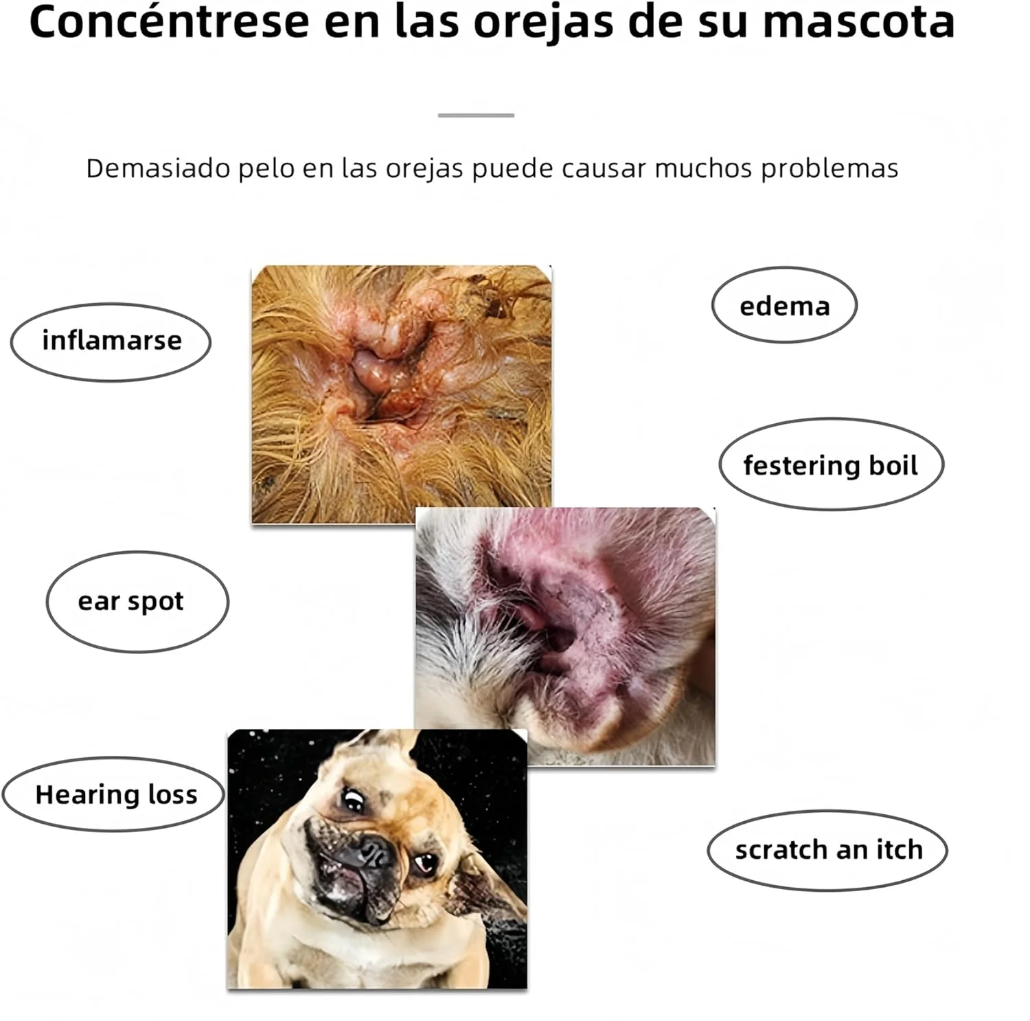 پودر تمیز کننده گوش حیوانات خانگی - پودر رفع موی گوش - گوش های حیوان خانگی خود را تمیز و سالم نگه دارید (D)