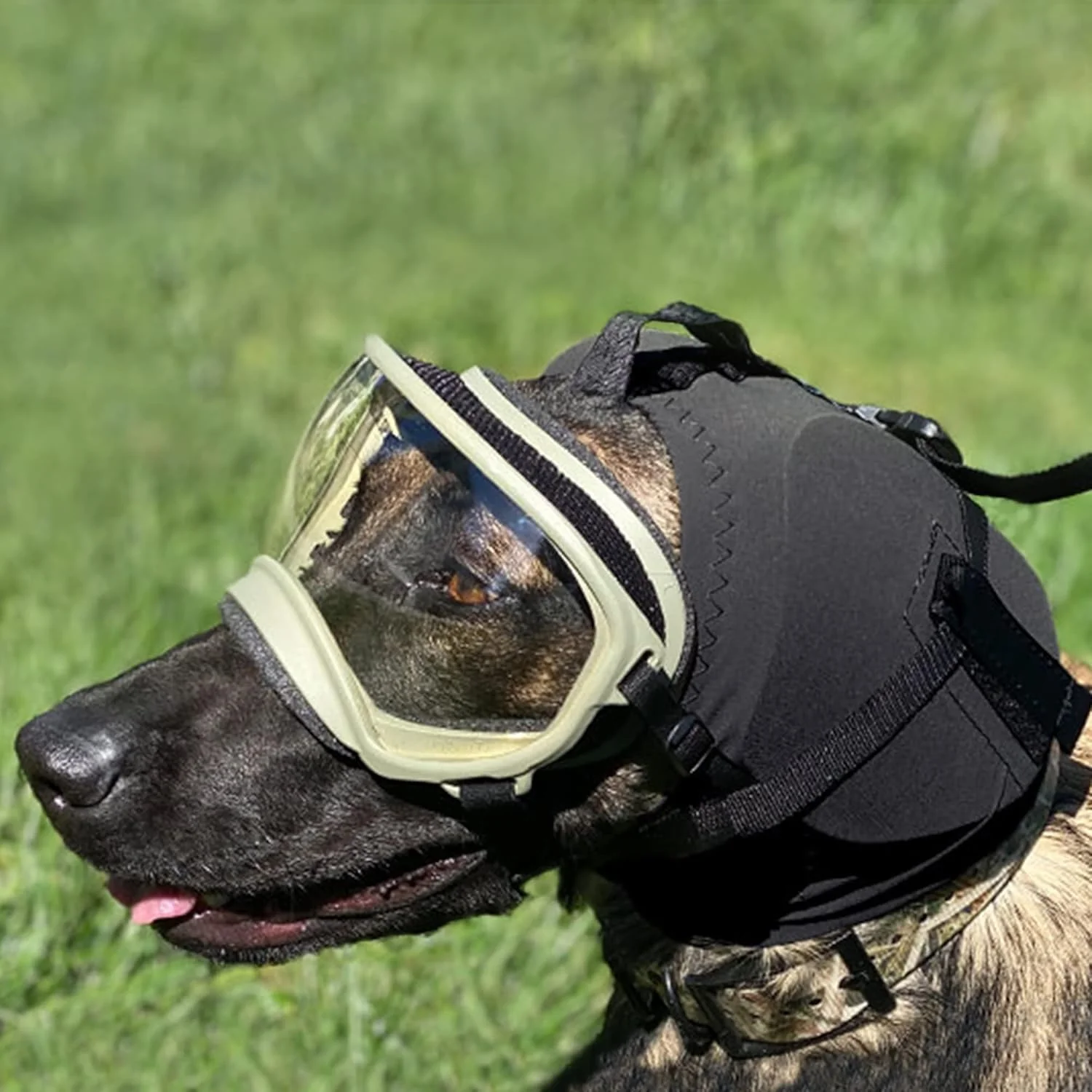 محافظ گوش سگ | محافظت از گوش و شنوایی سگ | رکس اسپک محافظ گوش سگ | محافظت از گوش و شنوایی سگ | رکس اسپک