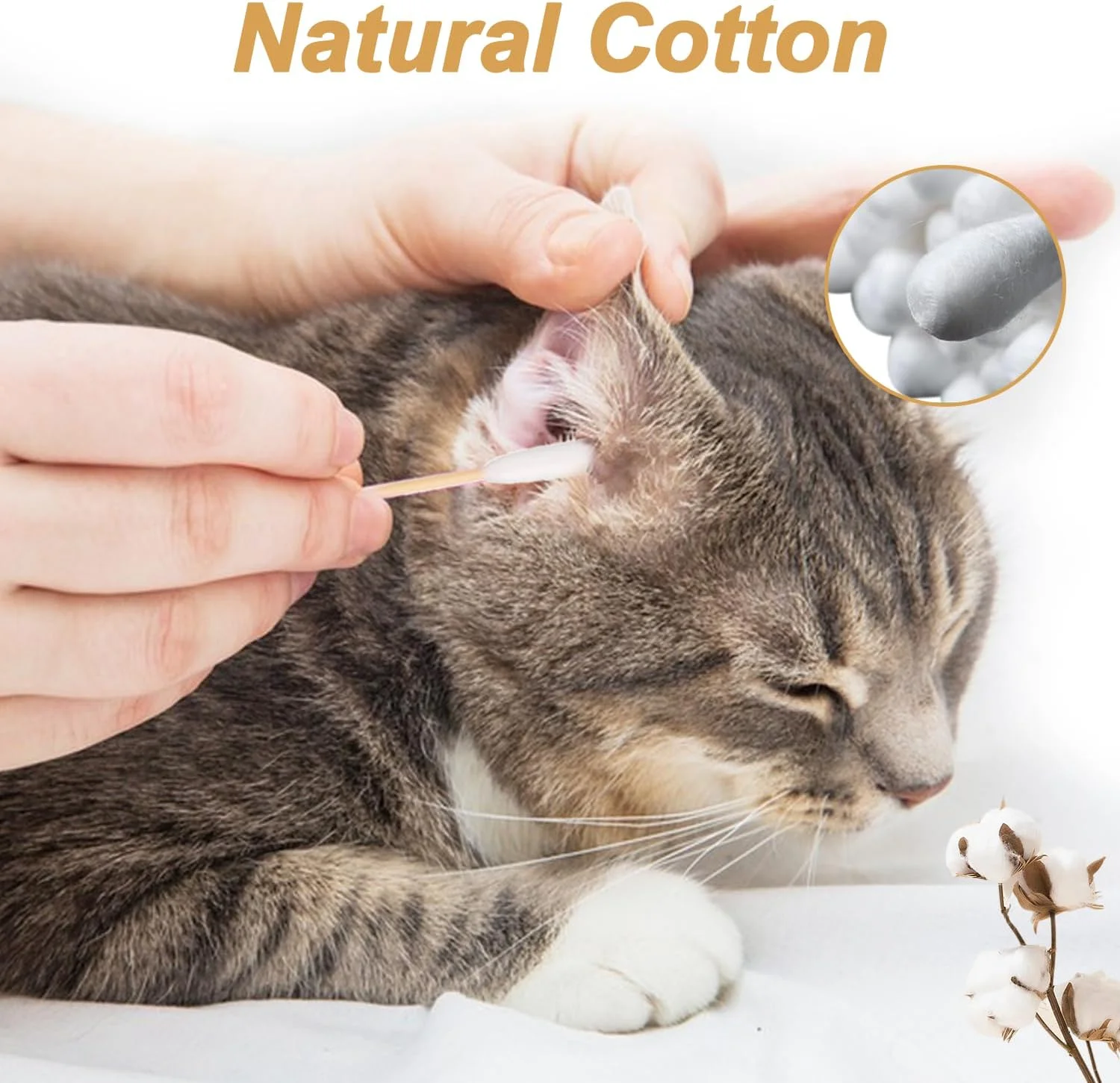 گوش پاک کن سگ، 200 عدد گوش پاک کن پنبه ای بزرگ 15 سانتی متری برای تمیز کردن حیوانات خانگی، چوب پنبه ای یکبار مصرف گوش گربه (200 عدد)