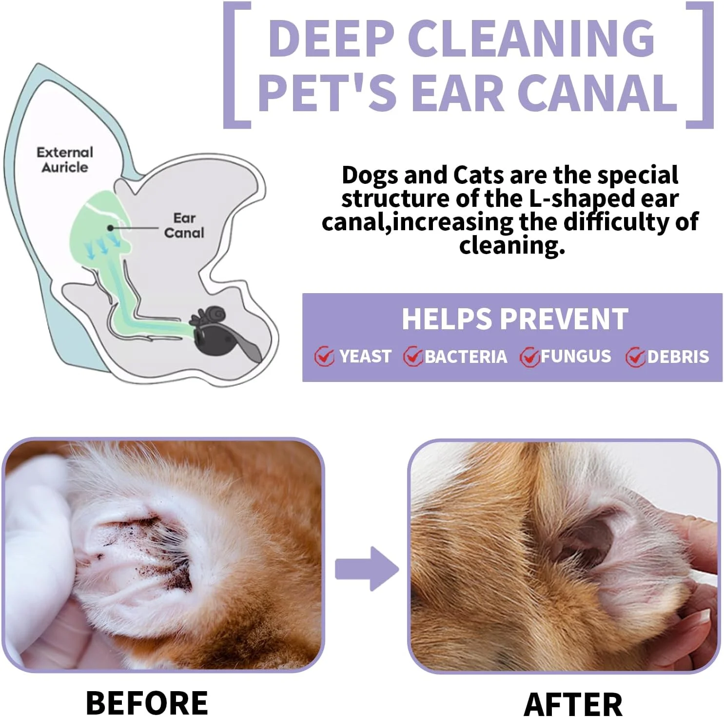 محلول تمیز کننده گوش سگ، درمان عفونت گوش سگ، تسکین التهاب گوش، رفع خارش، از بین بردن جرم گوش، بو، به همراه 10 عدد گوش پاک کن