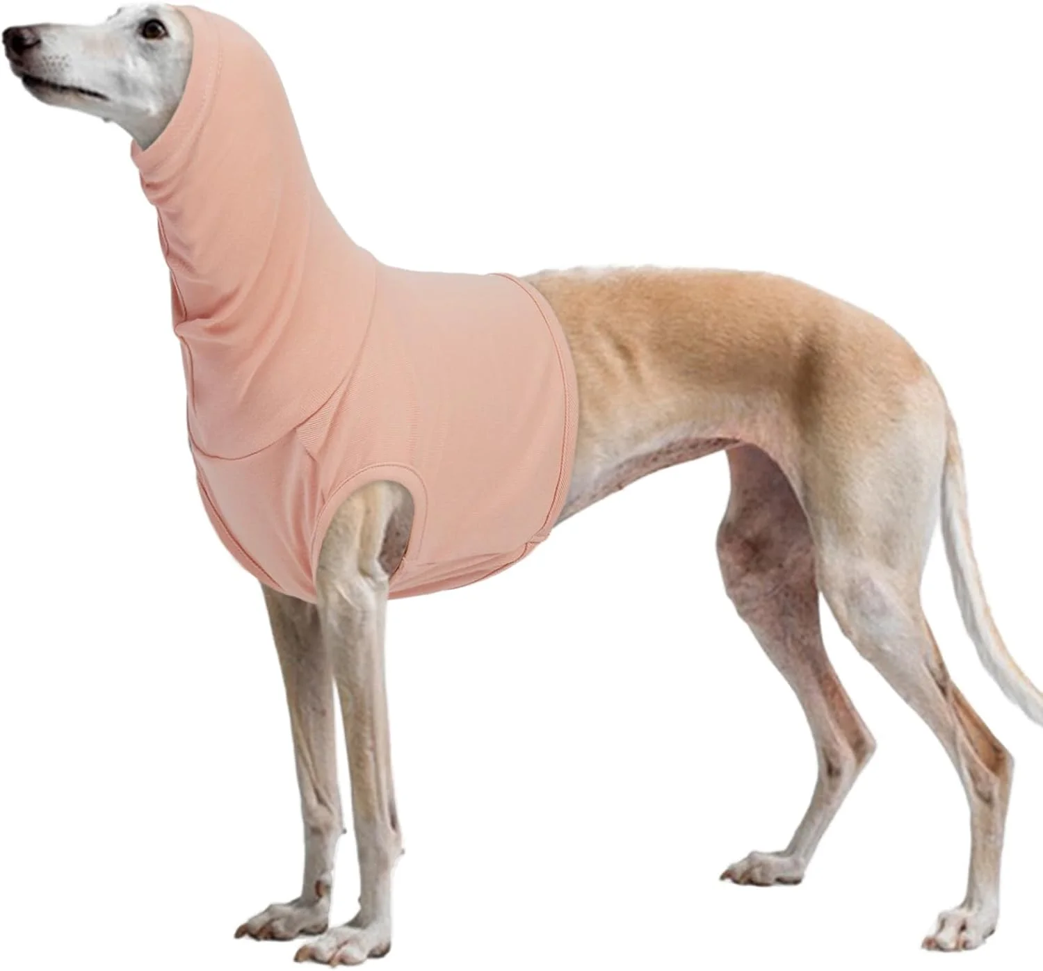 محافظ گوش سگ، محافظت از صدا برای سگ ها، هدبند، هودی گوش، محافظ گوش سگ، محافظت شنوایی، گردنبند زمستانی سگ، محافظ شانه سگ، محافظ بدن سگ (پوست)