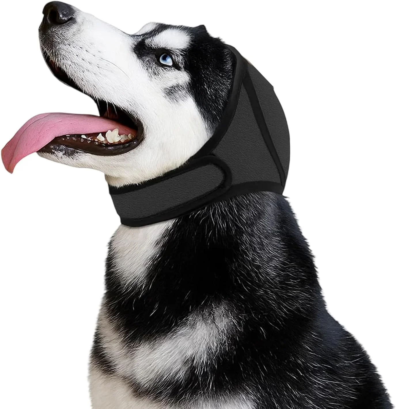 محافظ گوش سگ، اسنود سگ قابل تنظیم برای محافظت در برابر سر و صدا، محافظ گوش ضد آب سگ برای شنا و کاهش اضطراب، پوشش راحت گوش برای سگ های با گوش های حساس، مشکی، سایز M