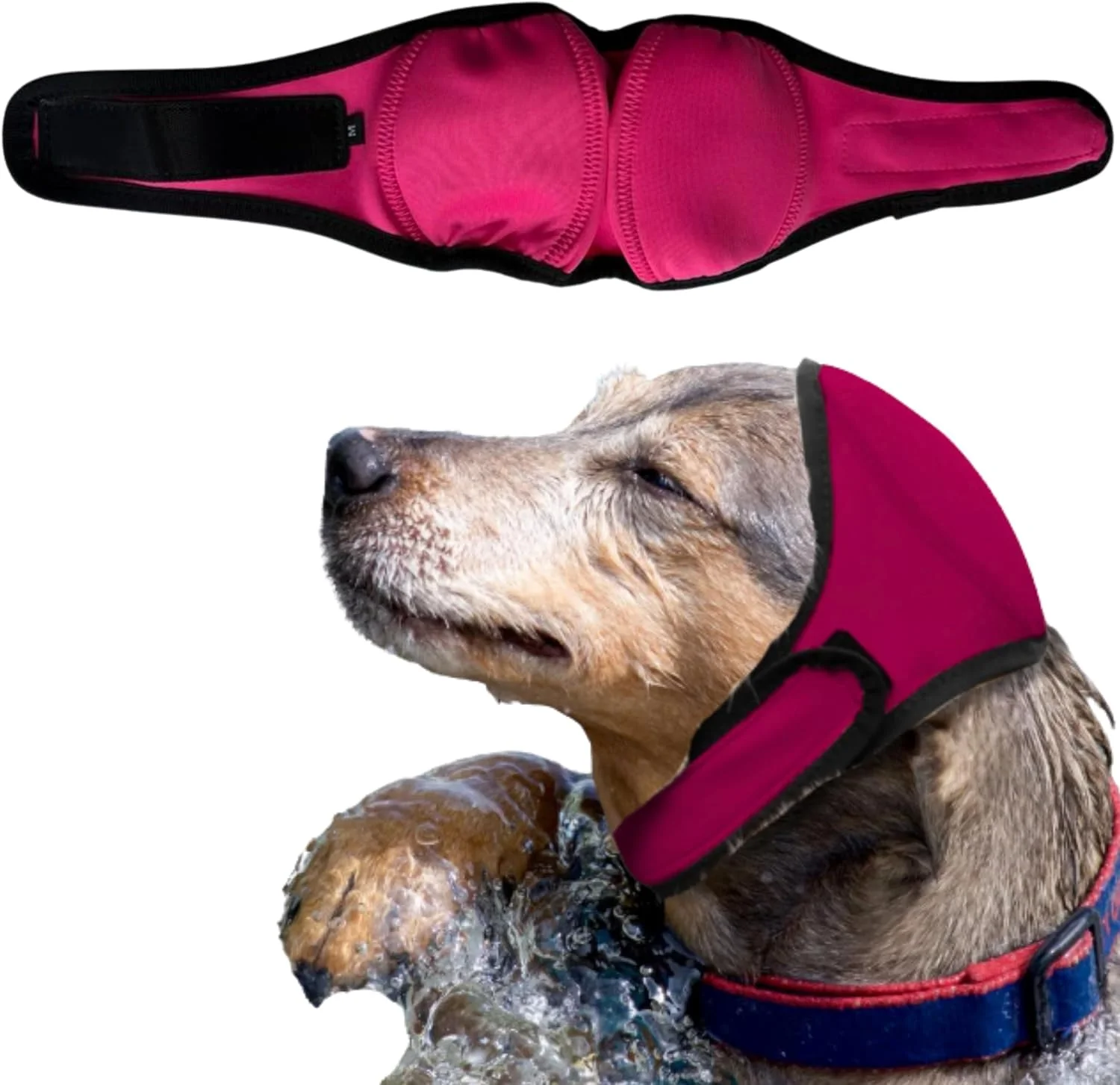 محافظ گوش سگ برای کلاه شنا