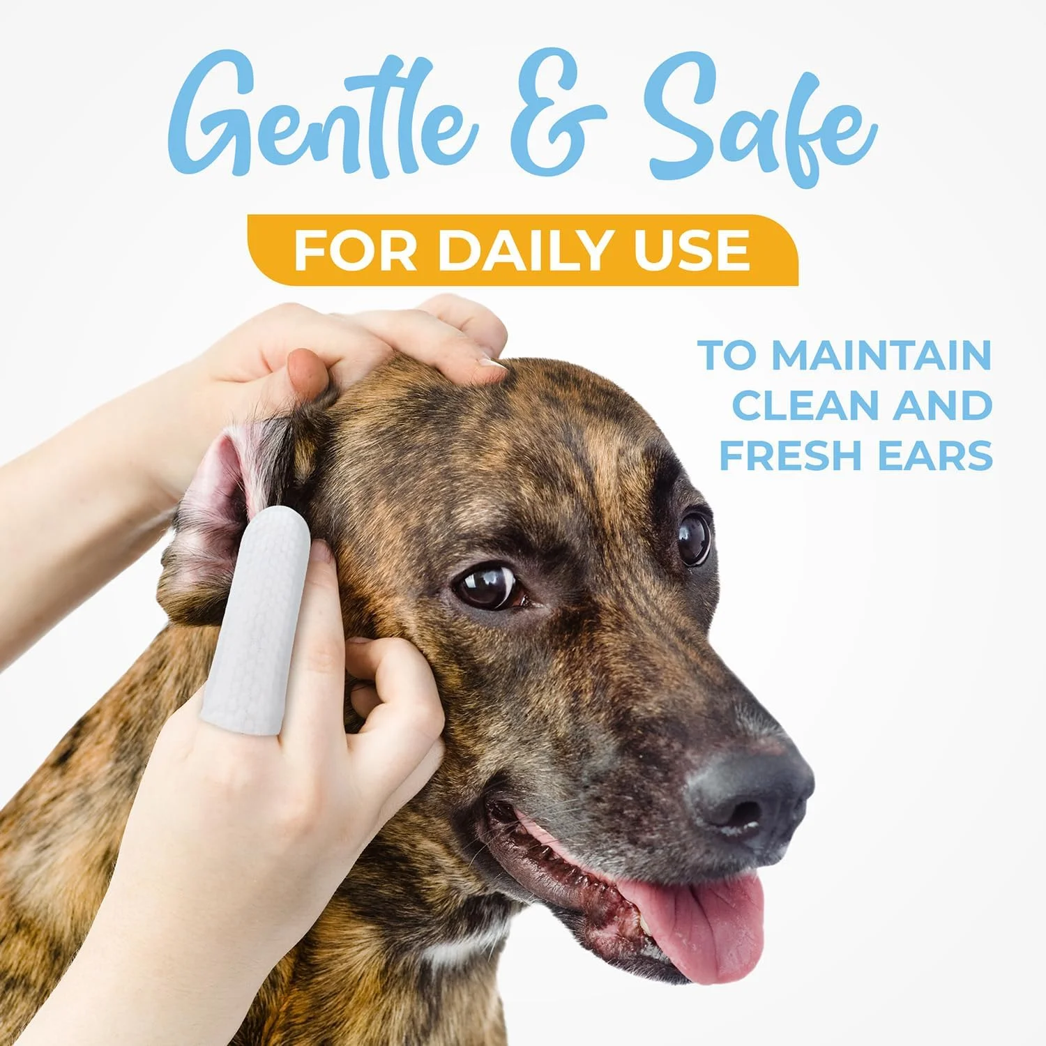 دستمال مرطوب تمیز کننده گوش سگ و گربه - دستمال انگشتی گوش برای سگ ها و گربه ها با محلول تمیز کننده گوش، تسکین دهنده و خوشبو کننده. تسکین گوش حیوانات خانگی - 50 عدد، سفید دستمال مرطوب تمیز کننده گوش سگ و گربه - دستمال انگشتی گوش برای سگ ها و گربه ها با محلول تمیز کننده گوش، تسکین دهنده و خوشبو کننده. تسکین گوش حیوانات خانگی - 50 عدد، سفید