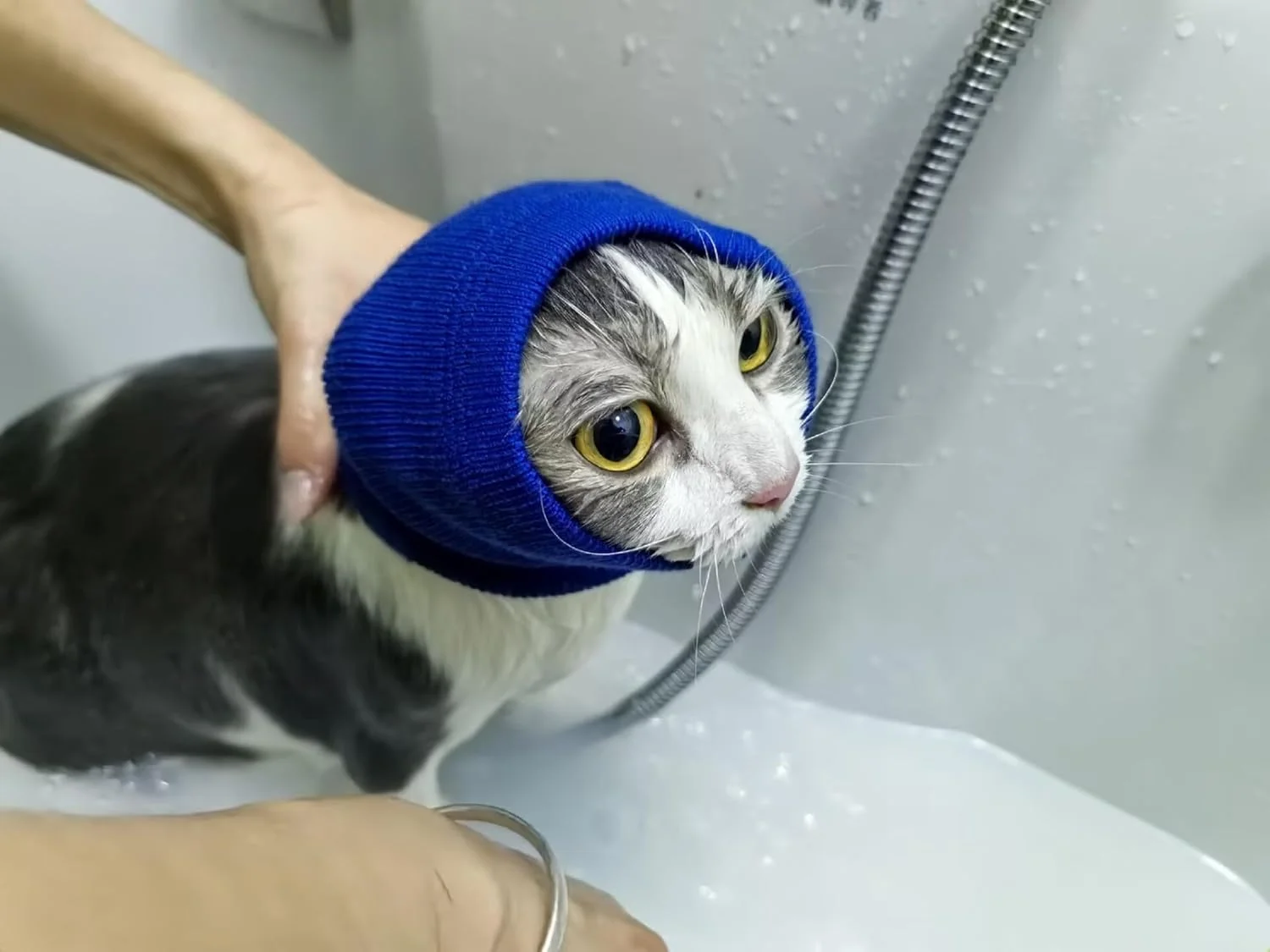 روکش سر گربه، محافظ گوش، آرامش بخش، مناسب برای صدا، رنگ یاسی + آبی فیروزه ای، سایز S