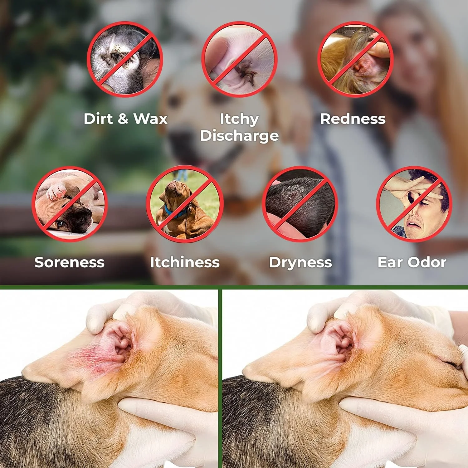 دستمال مرطوب تمیز کننده گوش حیوانات خانگی آراوا - مناسب سگ و گربه، 100 عدد، پاک کننده طبیعی و درمانی، از بین برنده آلودگی، جرم، مخمر، جلوگیری از خارش و بوی بد
