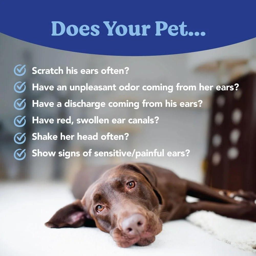 محلول تسکین دهنده گوش زینک-اوتیک آنجلز ایز برای سگ ها و گربه ها، التیام بخش عفونت های گوش، آرام کننده خارش و التهاب گوش، فرمول طبیعی BA و زینک، 1 اونس