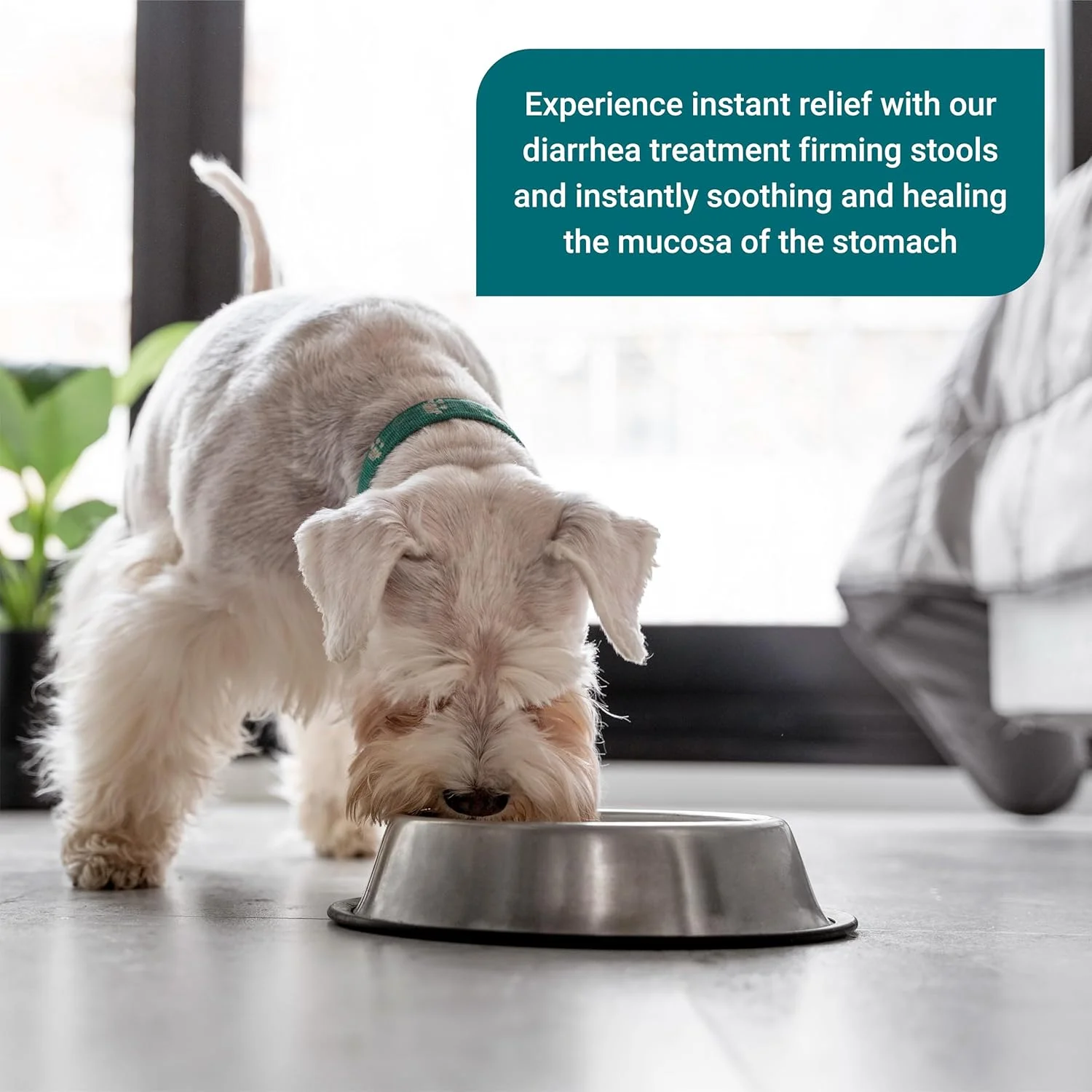 آرام کننده معده - والدین (آرام کننده معده + نمک)