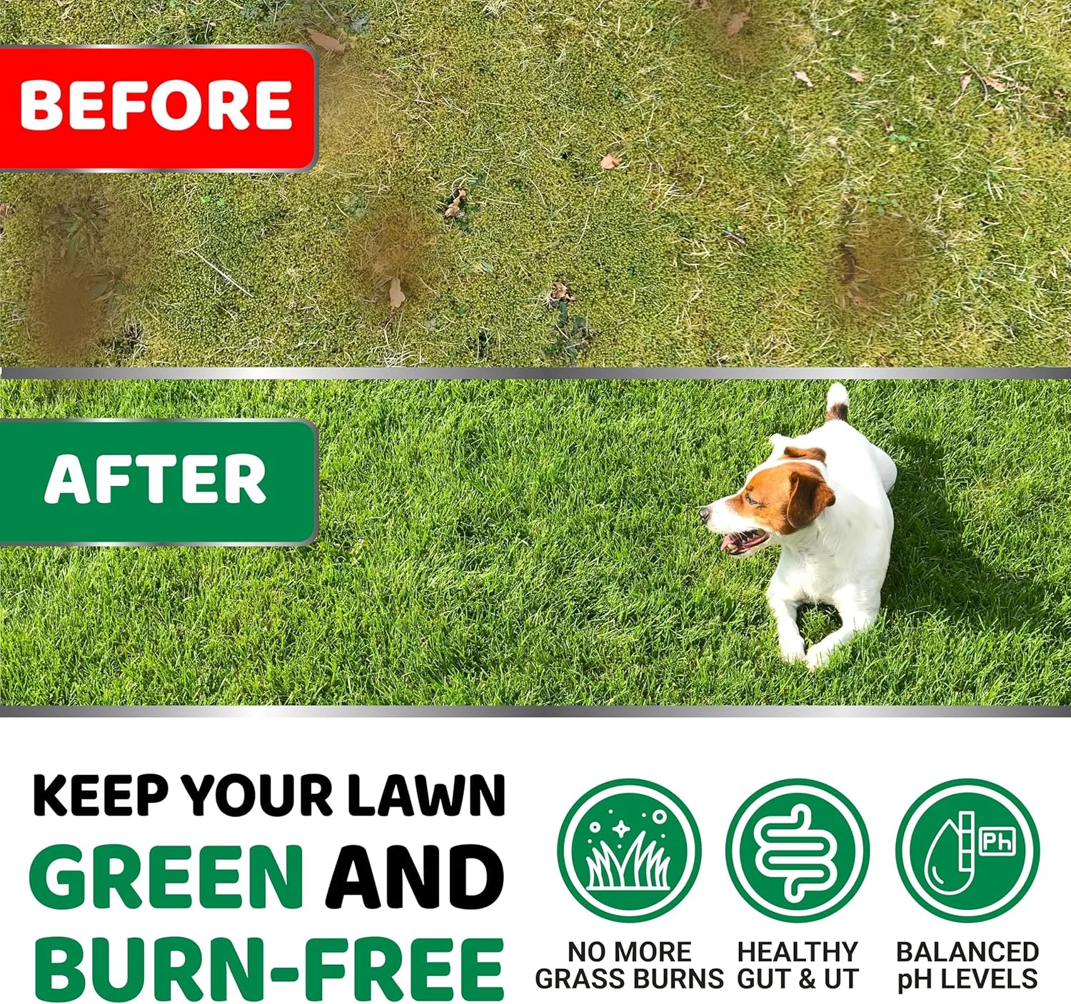 خنثی کننده ادرار سگ YUMA برای چمن - 170 عدد - محافظ پیشرفته چمن سبز برای ادرار سگ - مکمل خنثی کننده ادرار سگ - خوراکی های چمن سبز با پروبیوتیک ها و آنزیم های گوارشی