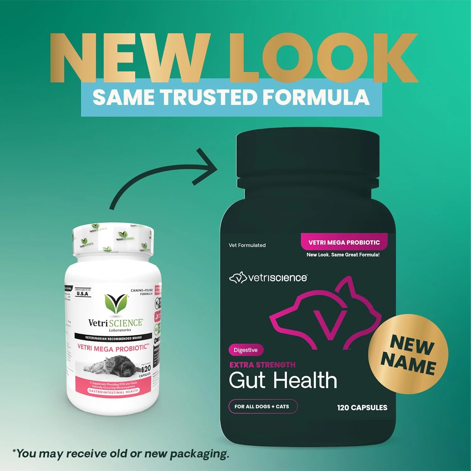 VetriScience Vetri Mega Probiotics برای سگ و گربه، 7.5 میلیارد CFU – پروبیوتیک 8 سویه برای سلامت دستگاه گوارش، سلامت روده، پشتیبانی از سیستم ایمنی و آلرژی های فصلی – 120 کپسول