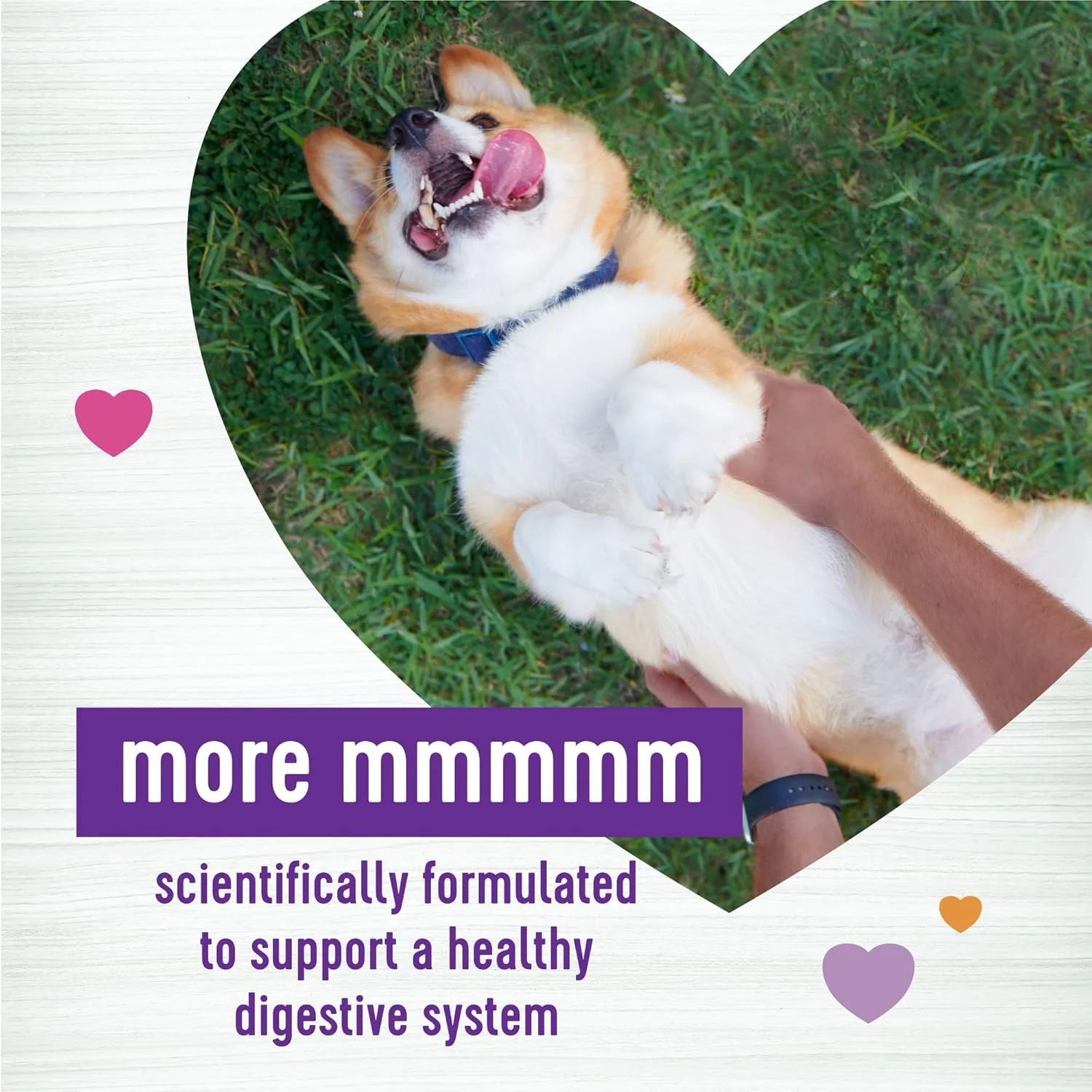 مکمل های جویدنی نرم با طعم کدو تنبل برای سلامت دستگاه گوارش سگ ها، 45 عدد