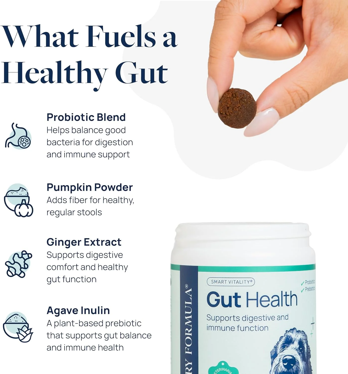 مکمل سلامت روده سگ ها با فرمول دامپزشکی - جویدنی های پروبیوتیک با آنزیم های گوارشی و فیبر - Smart Vitality از سلامت دستگاه گوارش، تعادل روده و کیفیت مدفوع پشتیبانی می کند، 60 جویدنی نرم