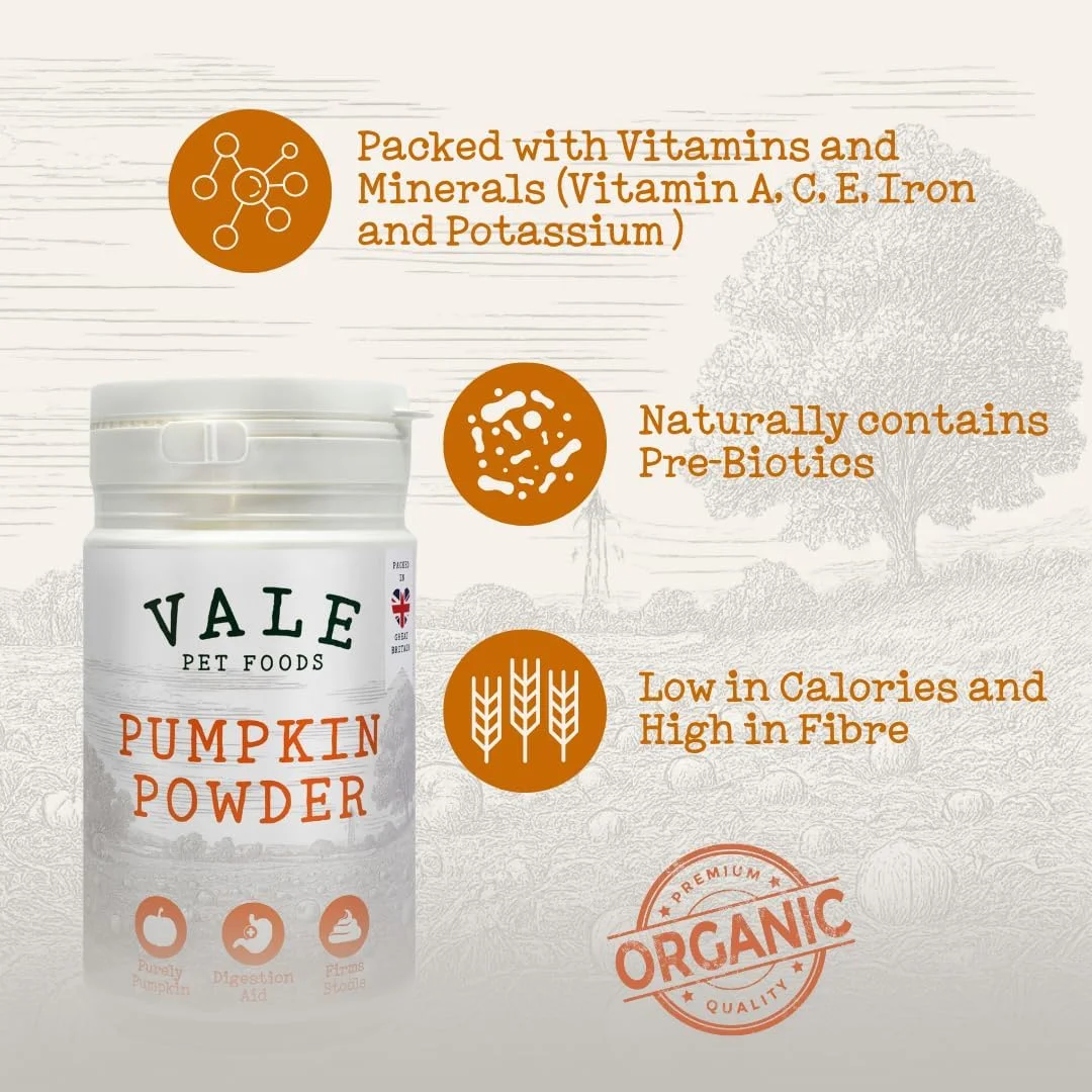 پودر کدو تنبل خالص غذای سگ Vale Pet Foods، 200 گرم - مکمل طبیعی و کمک کننده گوارشی با فیبر بالا برای تغذیه، مدفوع سفت، تسکین، لیسیدن و موارد دیگر - به صورت خشک یا مرطوب برای خمیر پوره بپاشید پودر کدو تنبل خالص غذای سگ Vale Pet Foods، 200 گرم - مکمل طبیعی و کمک کننده گوارشی با فیبر بالا برای تغذیه، مدفوع سفت، تسکین، لیسیدن و موارد دیگر - به صورت خشک یا مرطوب برای خمیر پوره بپاشید