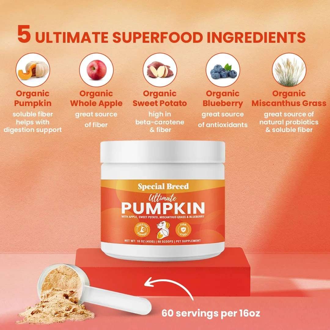 پودر کدو تنبل ارگانیک نژاد ویژه برای سگ ها، 450 گرم