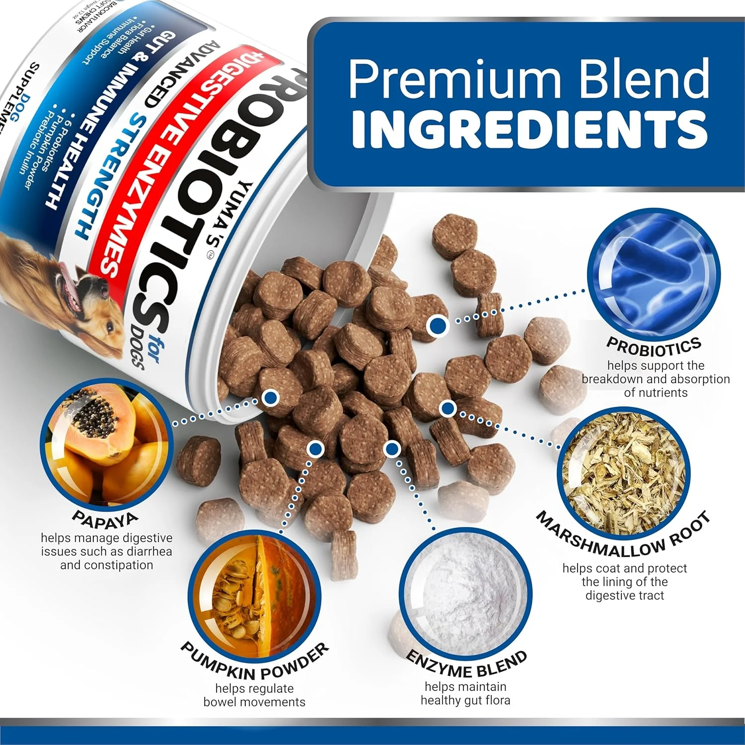 پروبیوتیک و آنزیم های گوارشی برای سگ ها - 170 عدد تشویقی پروبیوتیک سگ - ضد اسهال، ناراحتی معده و نفخ، پری بیوتیک سگ - مکمل فیبر حیوانات خانگی - طعم بیکن