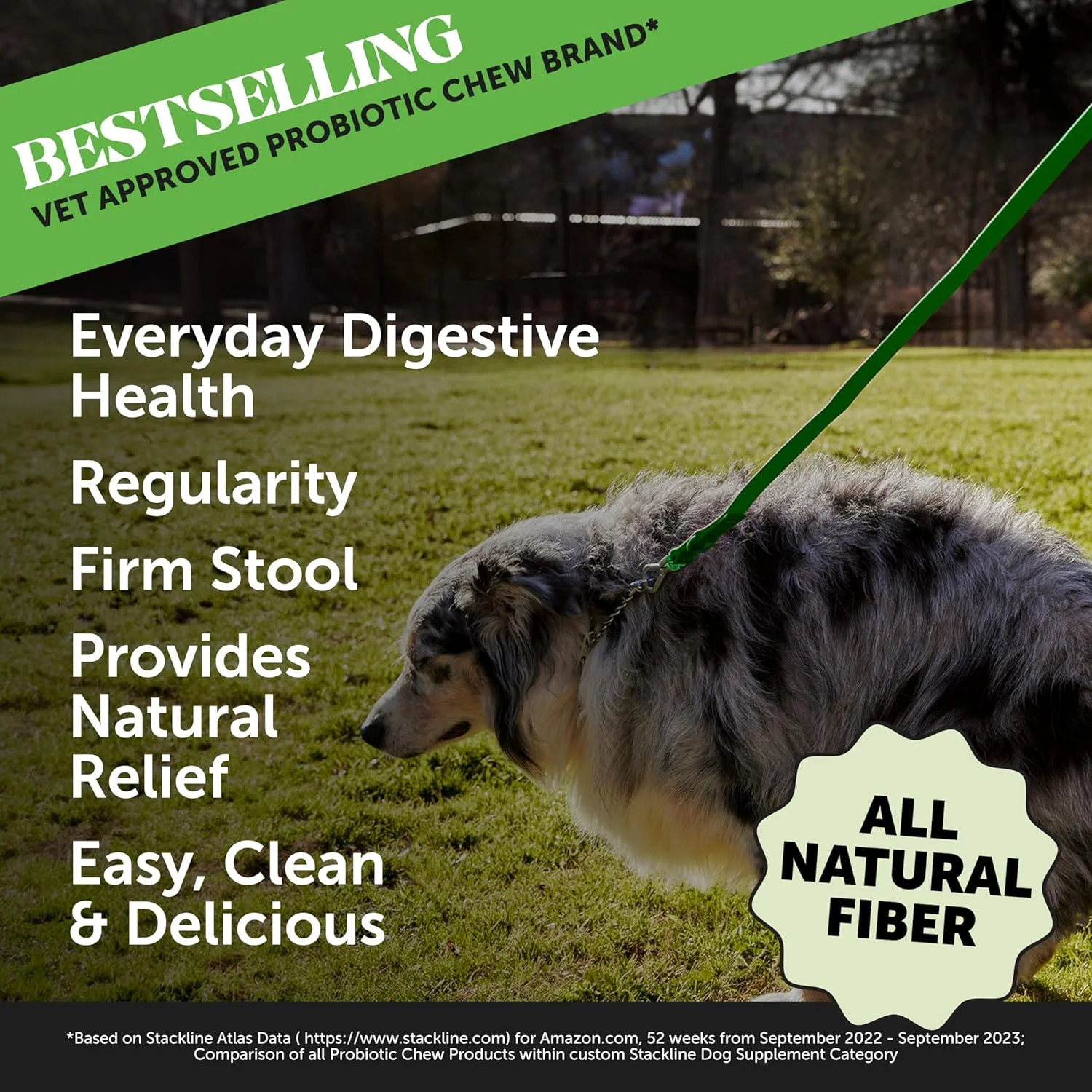 پودر فیبر کدو تنبل Pet Honesty برای سگ ها - پروبیوتیک طبیعی سگ با پوسته پسیلیوم، دانه کدو تنبل و پکتین سیب برای هضم سالم (90 پیمانه)