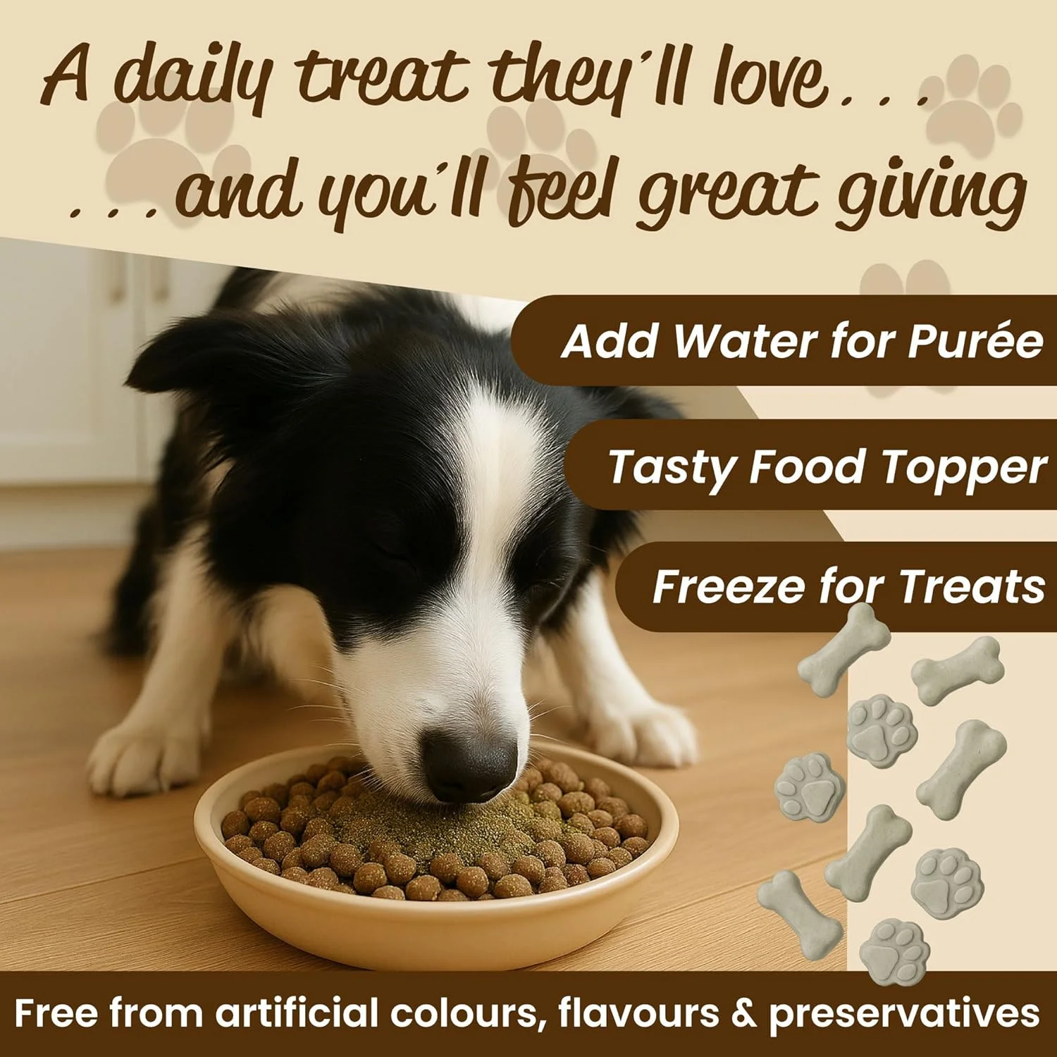 پودر تخم کدو تنبل برای سگ و گربه، مکمل غذایی طبیعی و سرشار از فیبر برای سلامت روده، هضم و پوشش بدن، 100% تخم کدو تنبل، ساخت انگلستان (300 گرم)