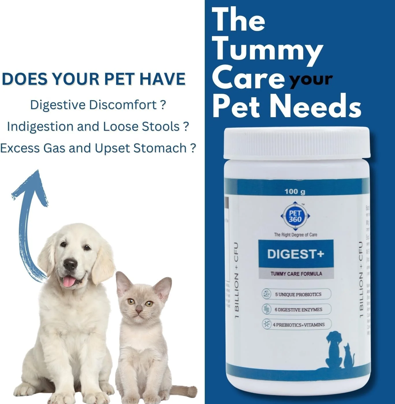 فرمول مراقبت از شکم Digest+ - 100 گرم | مکمل سلامت روده برای سگ ها و گربه ها | پروبیوتیک ها، پری بیوتیک ها، آنزیم های گوارشی و ویتامین ها برای بهبود هضم و ایمنی | مناسب برای همه نژادها فرمول مراقبت از شکم Digest+ - 100 گرم | مکمل سلامت روده برای سگ ها و گربه ها | پروبیوتیک ها، پری بیوتیک ها، آنزیم های گوارشی و ویتامین ها برای بهبود هضم و ایمنی | مناسب برای همه نژادها