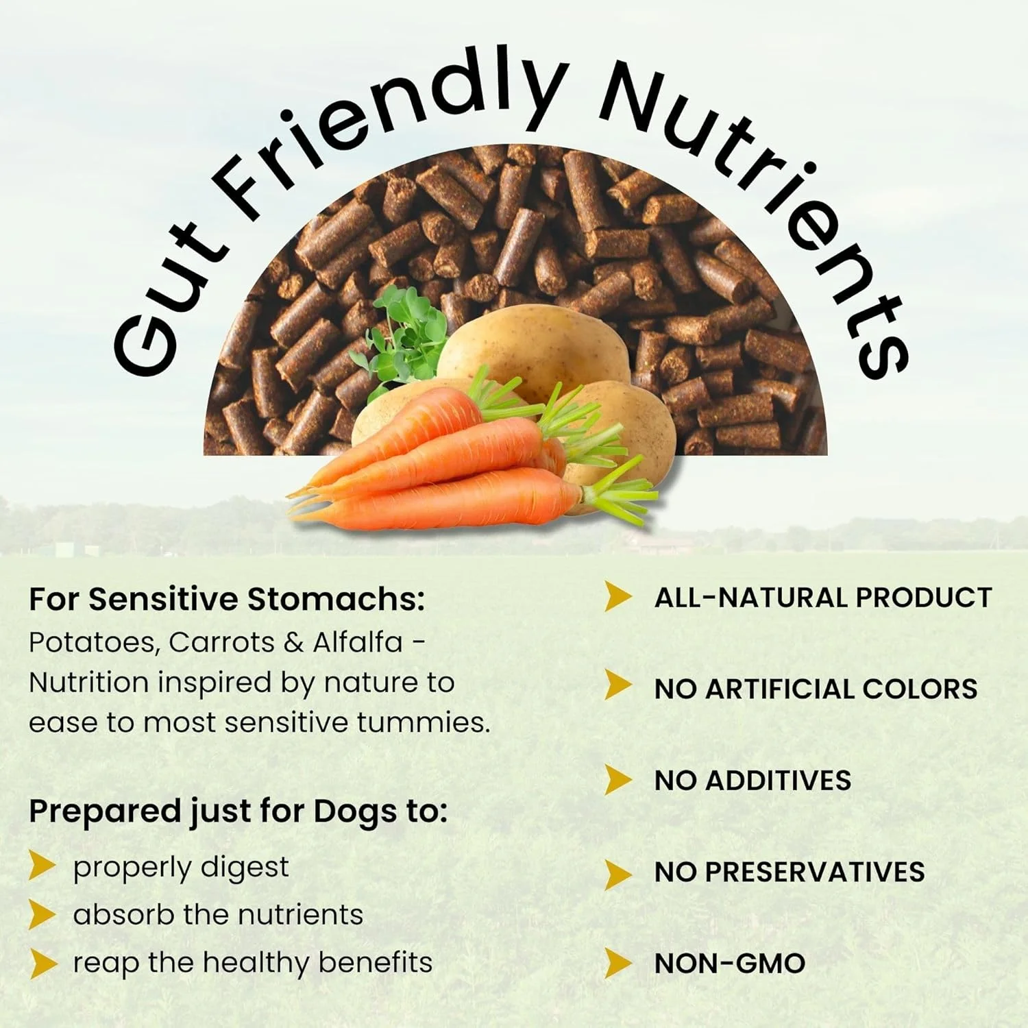 افزودنی غذای سگ Olewo Rootsies - غذای سگ با معده حساس، فیبر برای سفت کننده مدفوع سگ، افزودنی غذای سگ برای سگ های بد غذا، پروبیوتیک برای سلامت دستگاه گوارش و روده سگ، 1 کیلوگرم