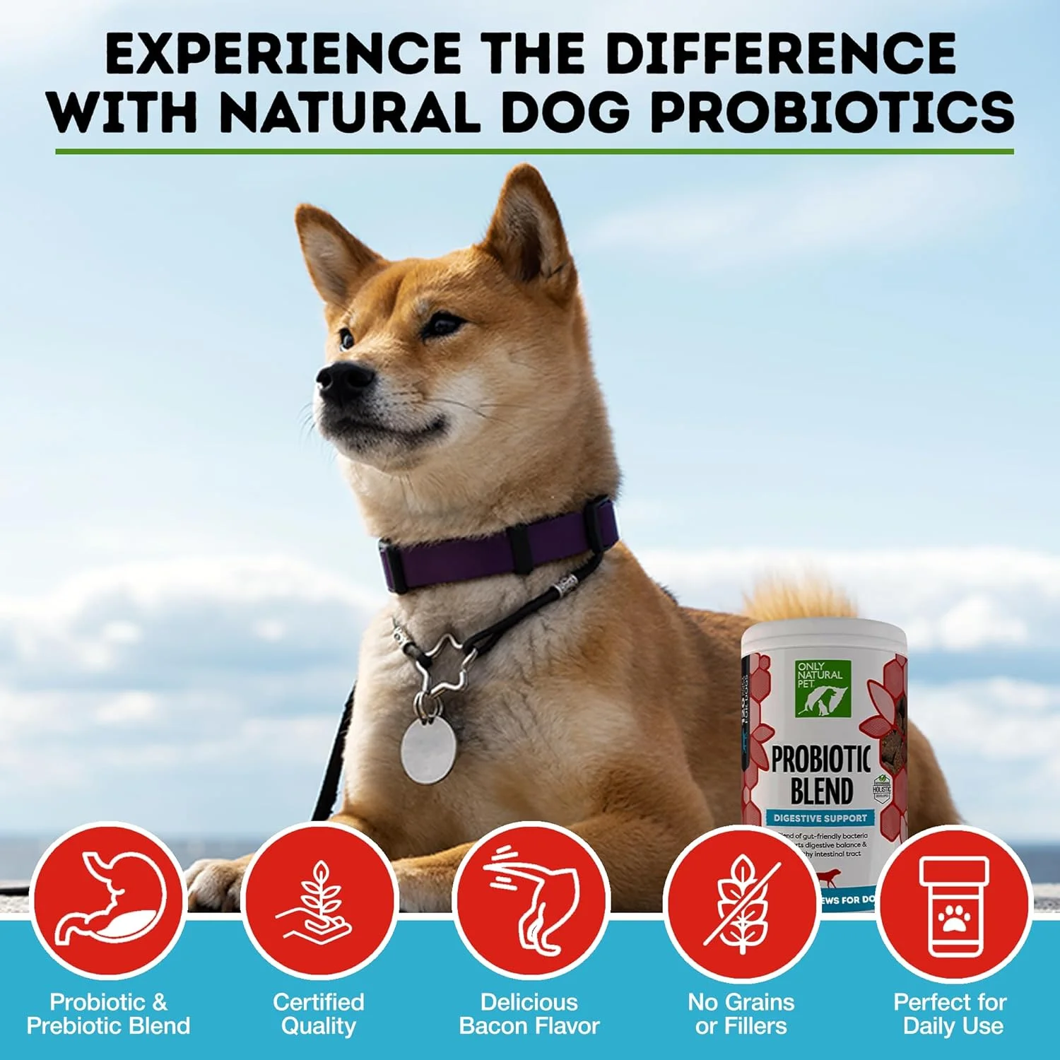 مکمل پروبیوتیک حیوانات خانگی نچرال مناسب سگ و گربه - فرمول آنزیمی برای سلامت دستگاه گوارش، مناسب توله سگ و سگ های بالغ، بهترین برای رفع ناراحتی معده و کمک به رفع گاز - قرص های نرم، 120 عدد