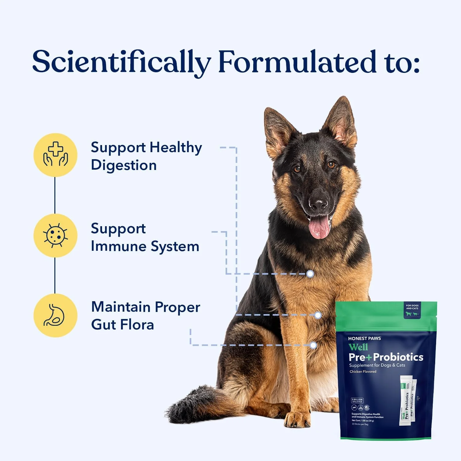 پروبیوتیک Honest Paws برای سگ ها - پودر پروبیوتیک برای سلامت روده و هضم سگ، حاوی پری بیوتیک، ساخت آمریکا، پشتیبانی از هضم و سیستم ایمنی - آنزیم های گوارشی با طعم مرغ (30 عدد)