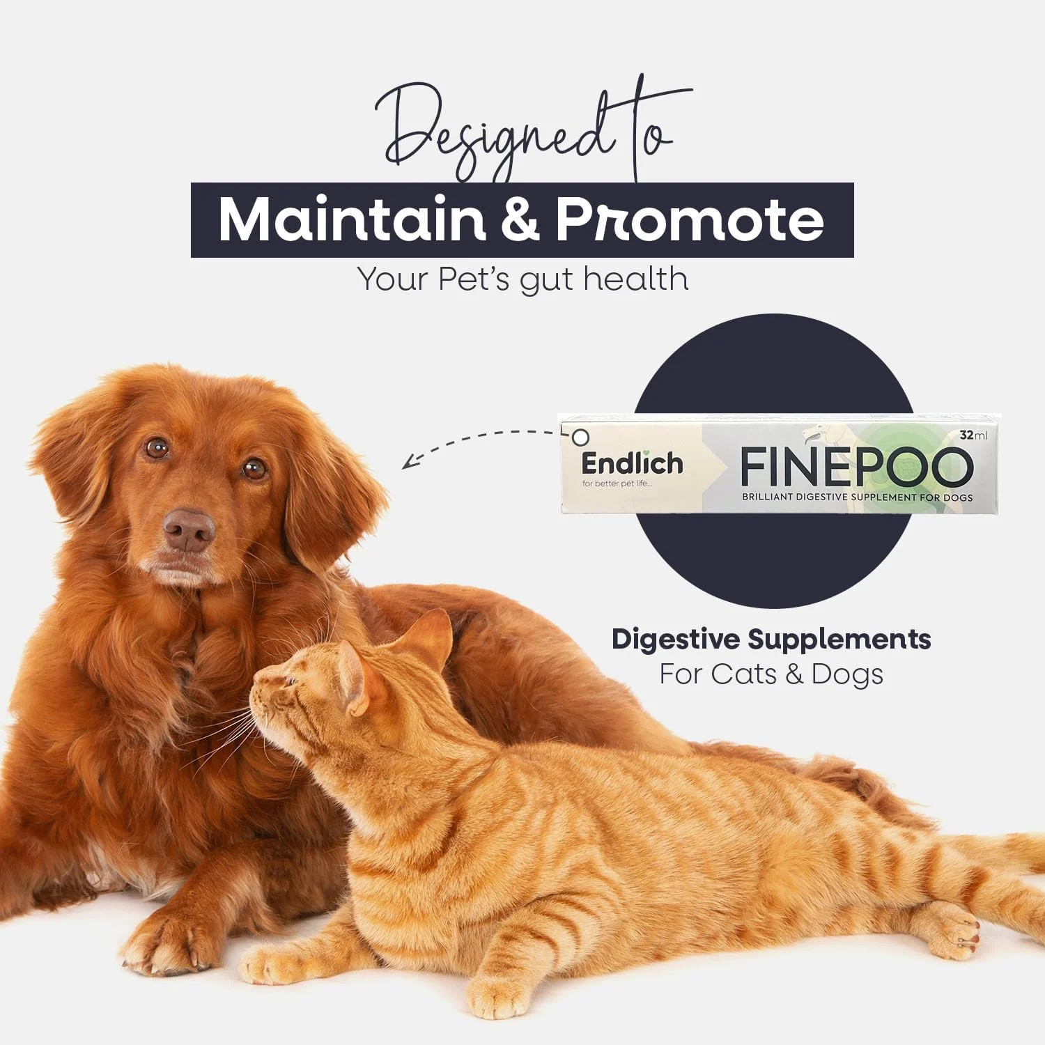 مکمل گوارشی Endlich Finepoo برای سگ و گربه 32 میلی لیتر - خمیر پری بیوتیک پروبیوتیک برای سلامت روده سگ و گربه - مکمل گوارش برای سگ و گربه