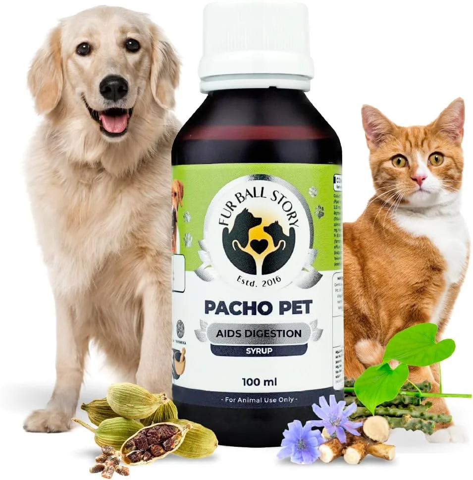 داستان فربال، پاچو پت