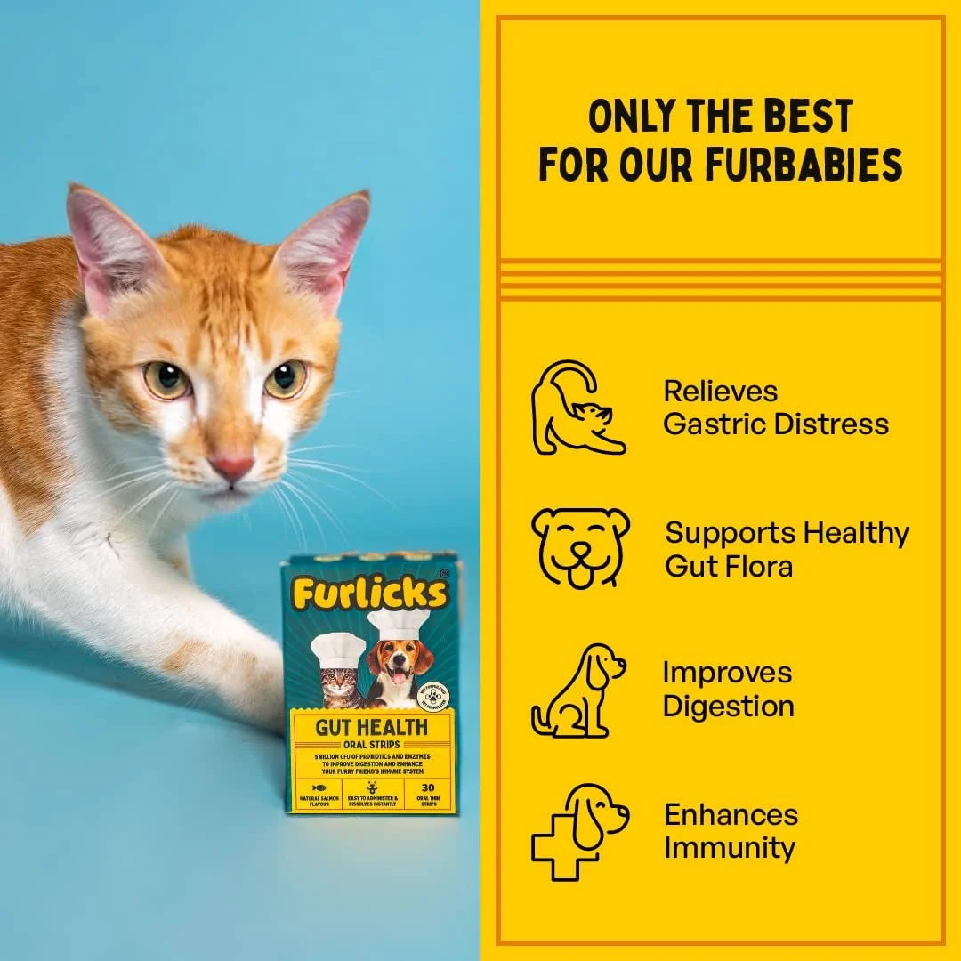 مکمل سلامت روده Furlicks برای سگ ها و گربه ها | پروبیوتیک ها، پروتئاز، لیپاز برای بهبود هضم، افزایش ایمنی، فلور روده سالم و حمایت از اسهال و روده (60 نوار حل شونده خوراکی) مکمل سلامت روده Furlicks برای سگ ها و گربه ها | پروبیوتیک ها، پروتئاز، لیپاز برای بهبود هضم، افزایش ایمنی، فلور روده سالم و حمایت از اسهال و روده (60 نوار حل شونده خوراکی)