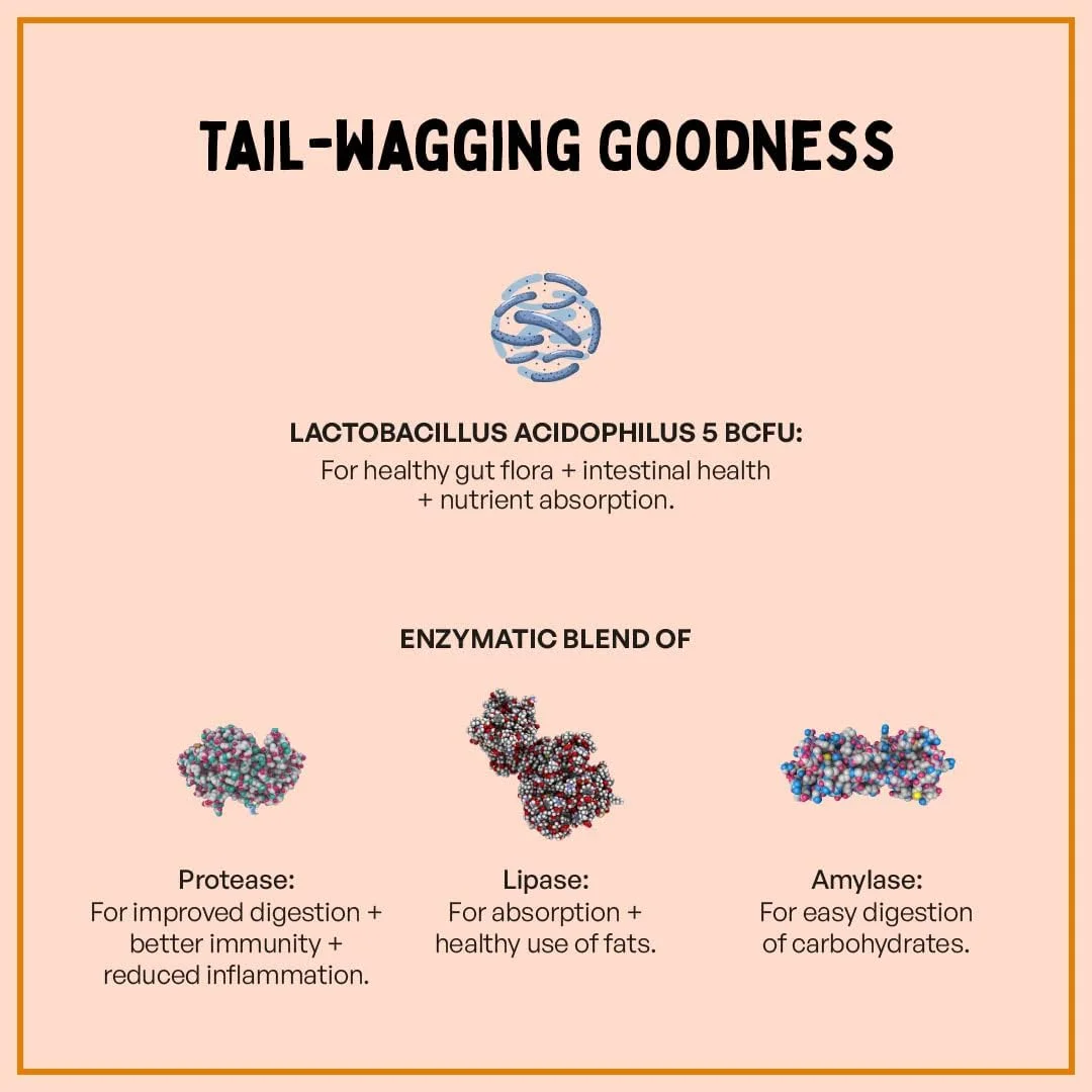 مکمل سلامت روده Furlicks برای سگ ها و گربه ها | پروبیوتیک ها، پروتئاز، لیپاز برای بهبود هضم، افزایش ایمنی، فلور روده سالم و حمایت از اسهال و روده (60 نوار حل شونده خوراکی) مکمل سلامت روده Furlicks برای سگ ها و گربه ها | پروبیوتیک ها، پروتئاز، لیپاز برای بهبود هضم، افزایش ایمنی، فلور روده سالم و حمایت از اسهال و روده (60 نوار حل شونده خوراکی)