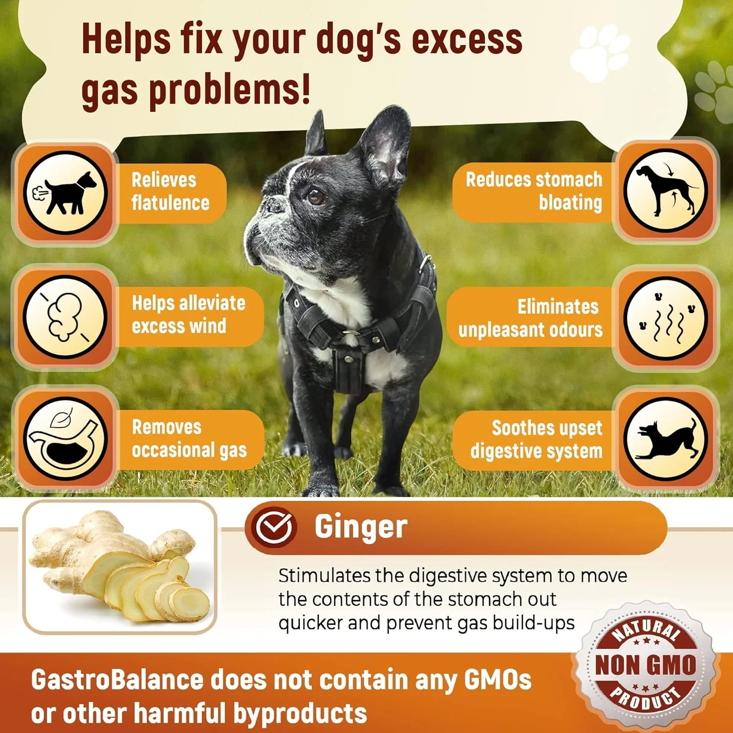 درمان نفخ سگ - 60 عدد جویدنی طبیعی برای نفخ سگ با طعم بیکن، توصیه شده توسط دامپزشک