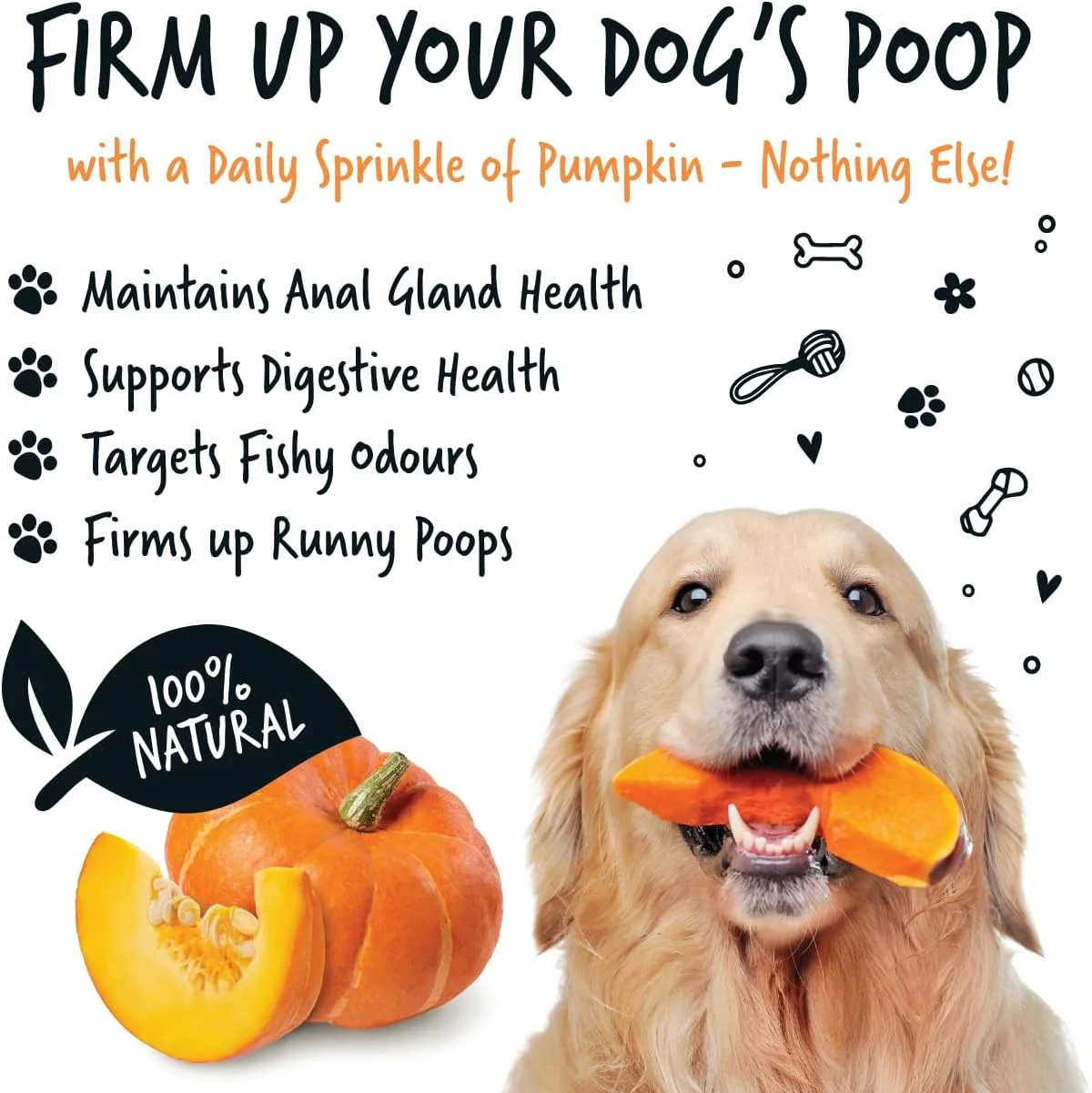 برس موی سگ (صورتی)