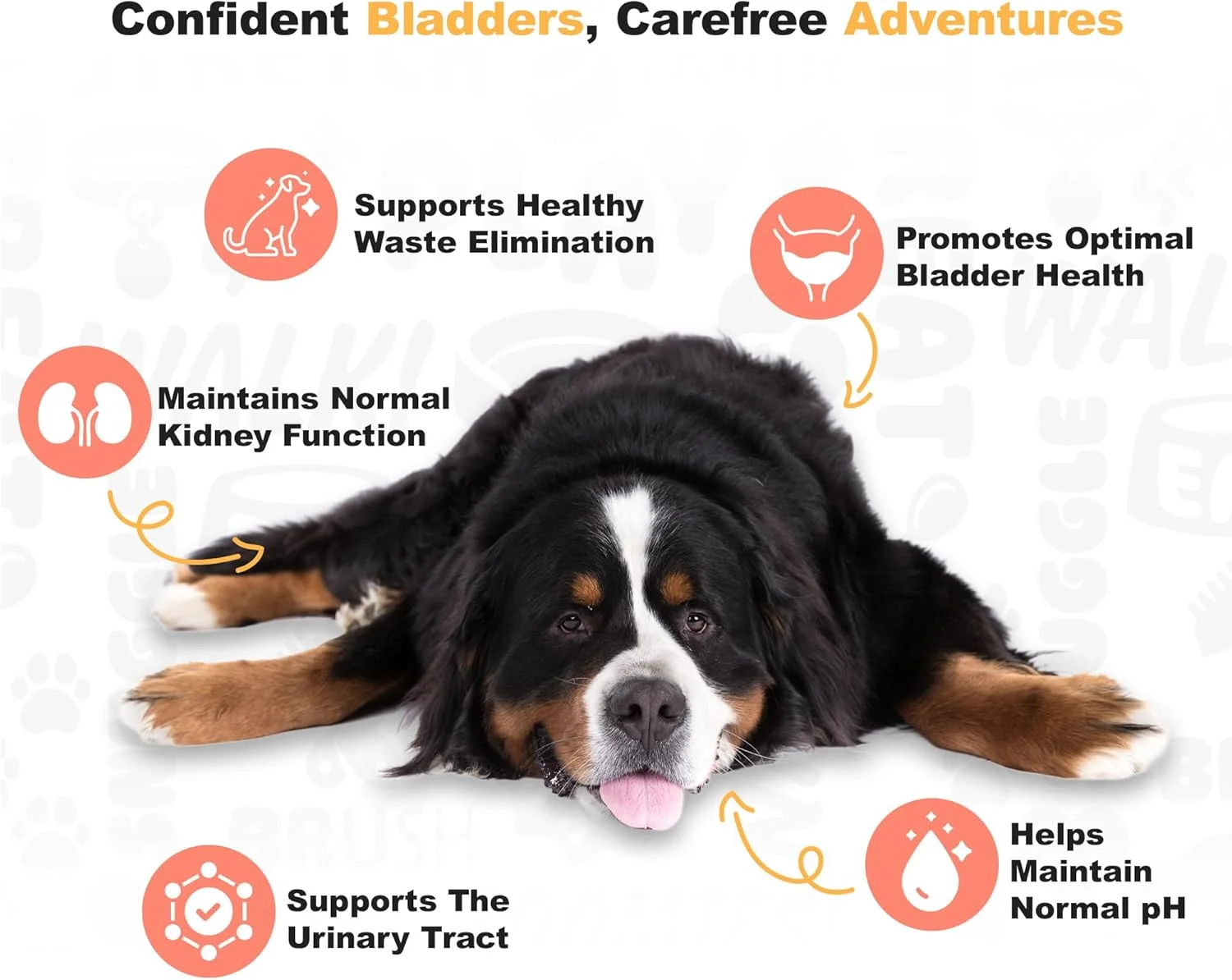 مکمل کرن‌بری سگ Doggie Dailies، ۲۲۵ عدد جویدنی نرم، پشتیبانی از مجاری ادراری، مثانه و کلیه برای سگ‌ها، کرن‌بری برای سگ‌ها با ریشه مارشمالو، ریشه شیرین‌بیان و سرکه سیب (طعم مرغ)