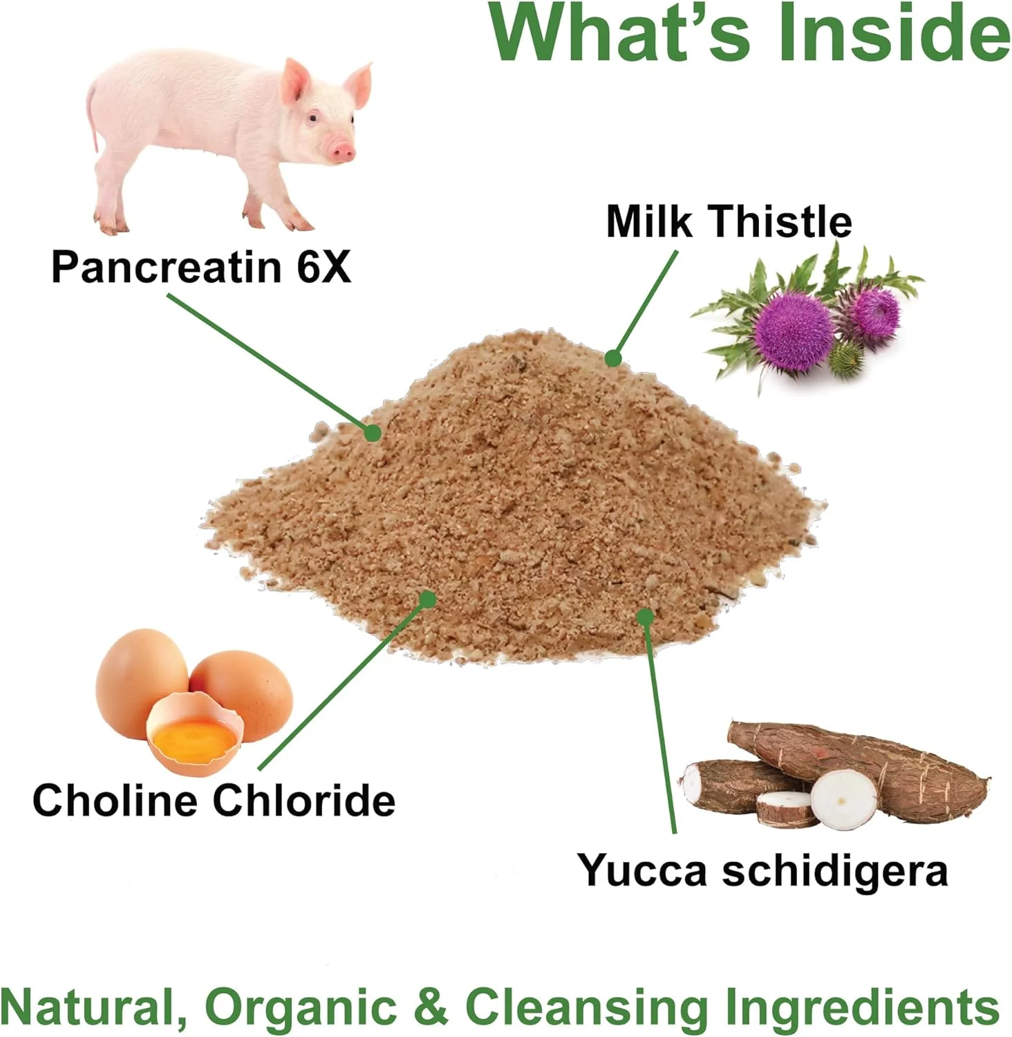مکمل پشتیبانی پانکراس Dogzymes (227 گرم)