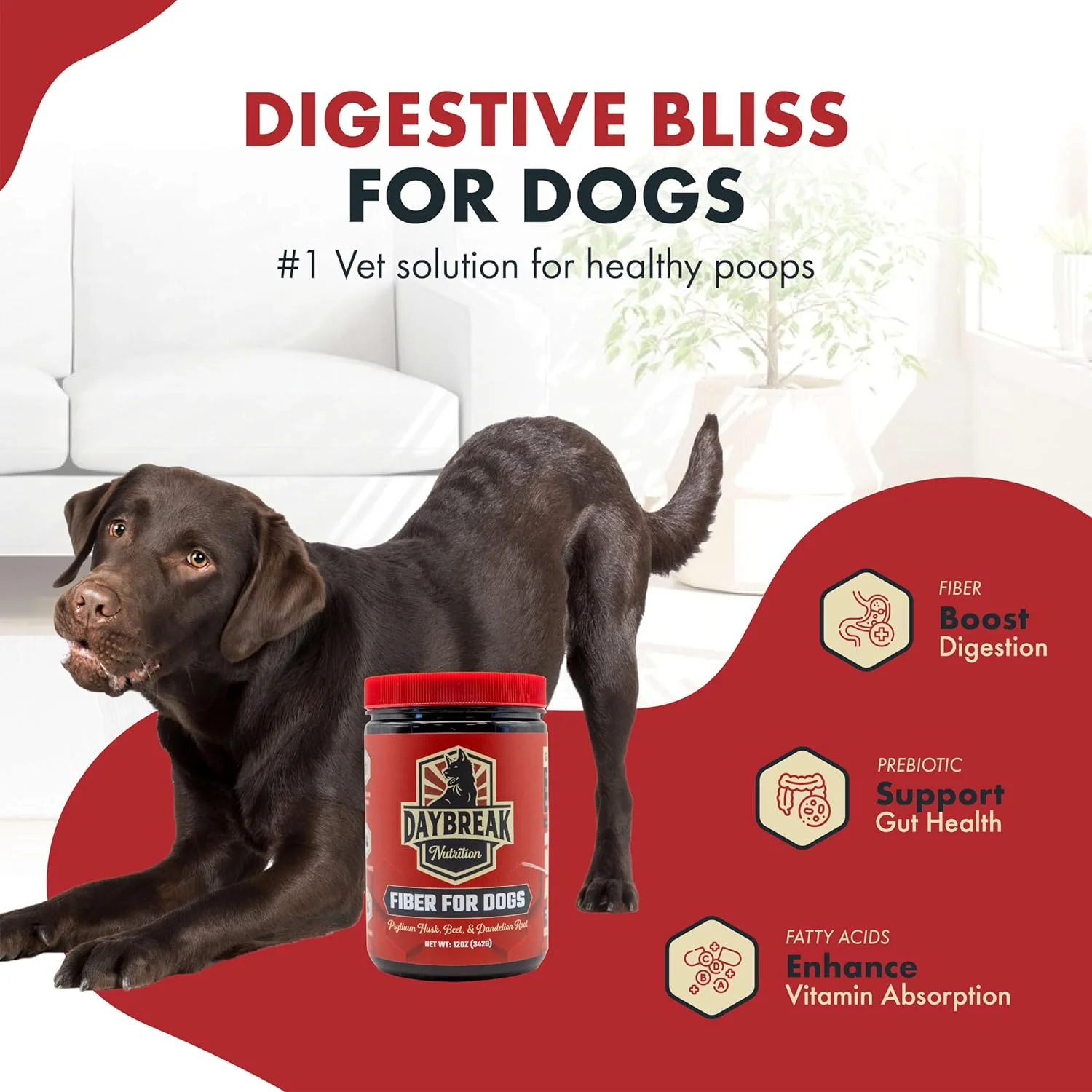 فیبر برای سگ ها، پوست پسیلیوم، ریشه چغندر، ریشه قاصدک و پری بیوتیک ها برای کمک به رفع اسهال، یبوست و مشکلات غدد