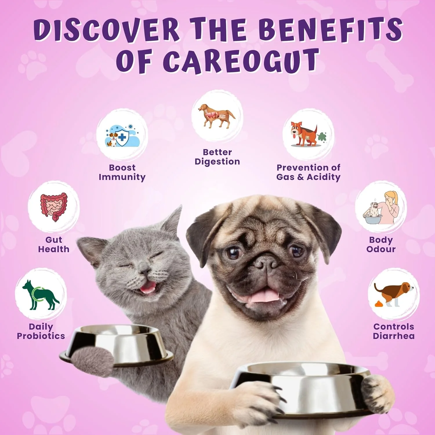 مخلوط پری‌بیوتیک و پروبیوتیک CAREOGUT برای سلامت روده | ترکیب شده با آنزیم‌های گوارشی | مکمل پری‌بیوتیک و پروبیوتیک برای سگ و گربه | تقویت کننده سیستم ایمنی | مکمل‌های سلامت روده | 100 گرم