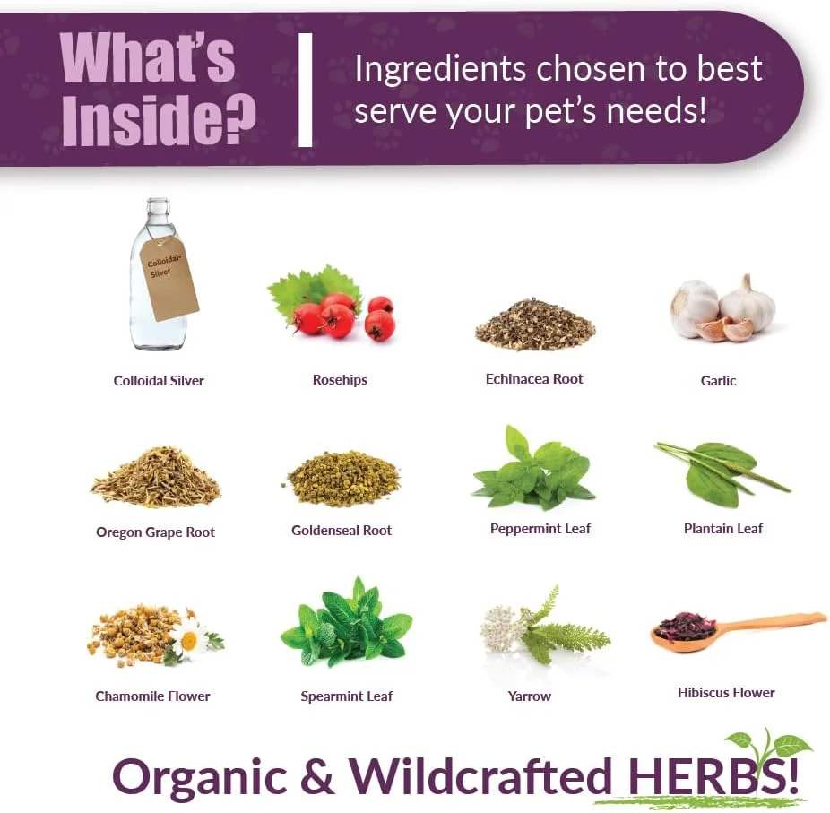 مکمل گوارشی و تقویت سیستم ایمنی سگ ها