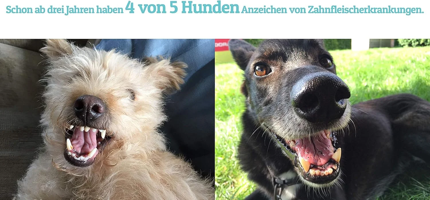 محلول افزودنی به آب برای مراقبت از دندان سگ و گربه | تنفس تازه و دندان های سالم - کمک به جلوگیری از پلاک و جرم (۵۰۰ میلی لیتر)