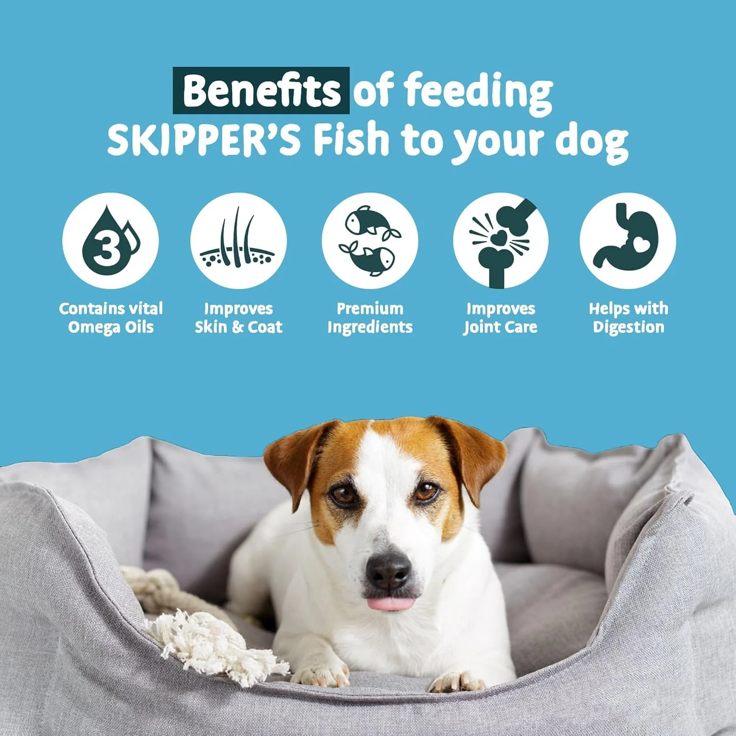 چوب‌های تمیز کننده دندان پوست ماهی برای سگ‌ها - 100% طبیعی و سالم، جویدنی‌های خشک شده با هوا، روغن امگا 3 ضروری، ایده آل برای دندان (معمولی، 250 گرم)