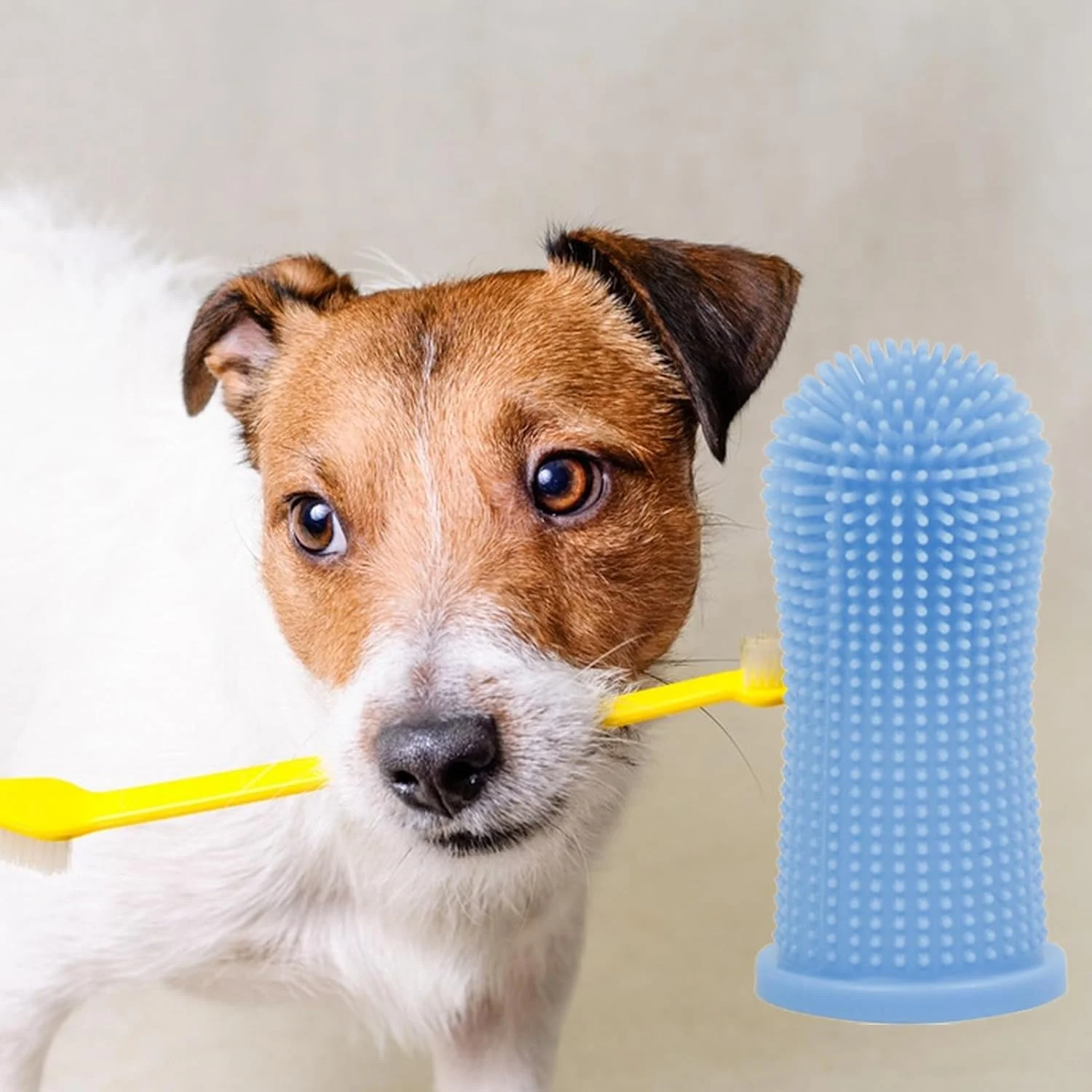 مسواک انگشتی حیوانات خانگی، جنس سیلیکون، لوازم بهداشتی سگ، آبی