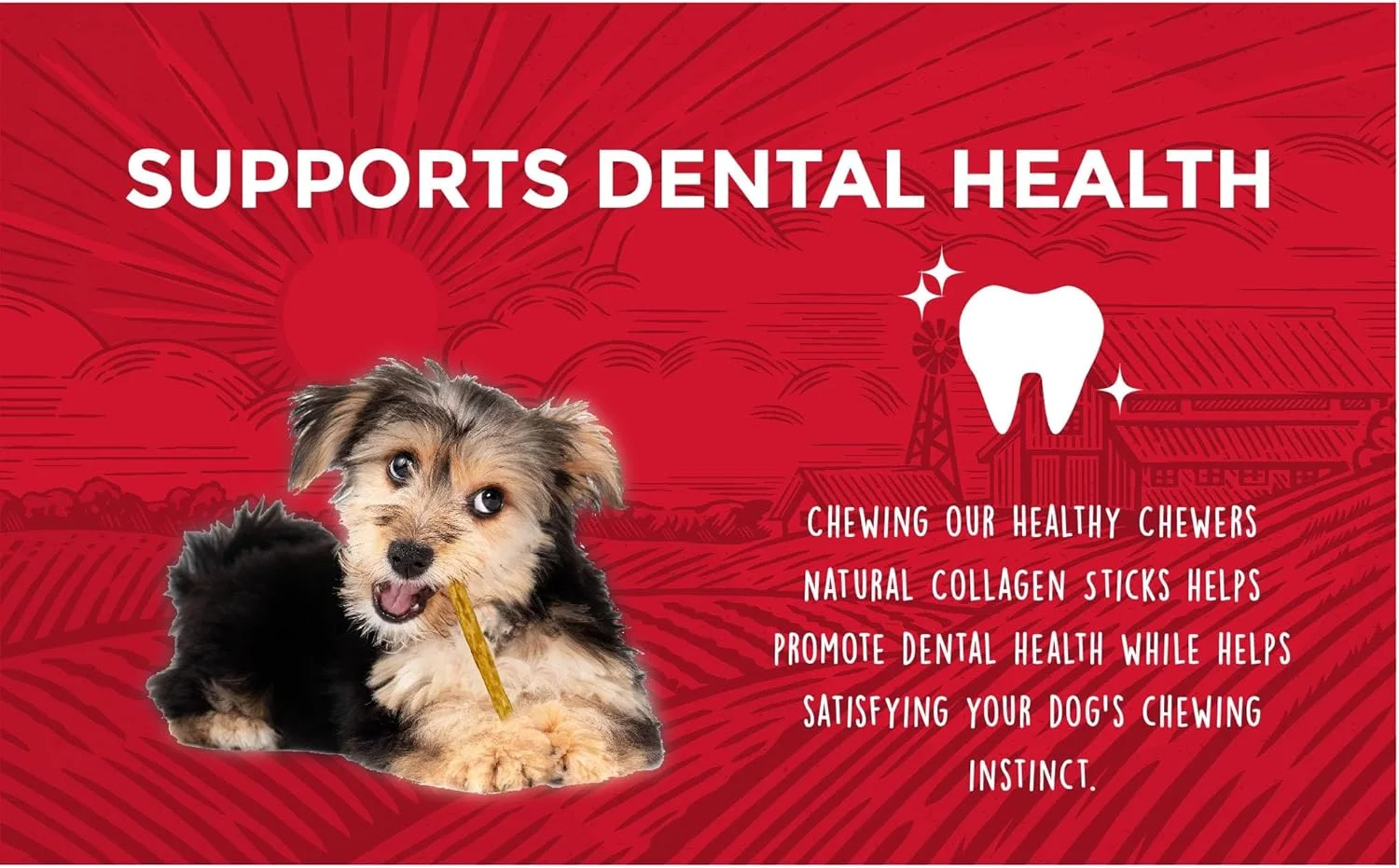 تشویقی های کلاژن طبیعی و استیک گوشت گاو برای سگ ها | 100 عدد | پروتئین بالا و تشویقی های با مواد اولیه محدود برای سگ تشویقی های کلاژن طبیعی و استیک گوشت گاو برای سگ ها | 100 عدد | پروتئین بالا و تشویقی های با مواد اولیه محدود برای سگ