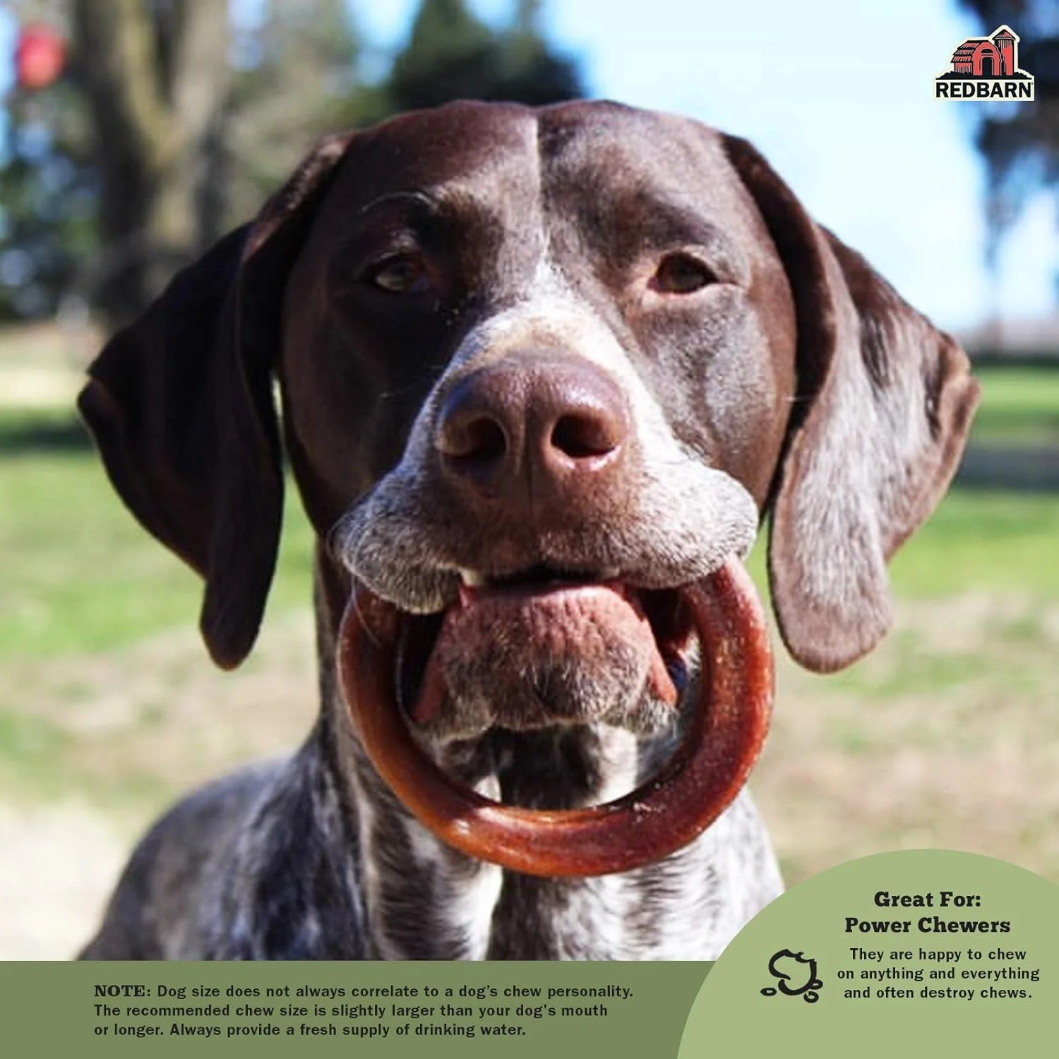 حلقه های سگ جویدنی ردبارن نچرالز - بسته 3 عددی