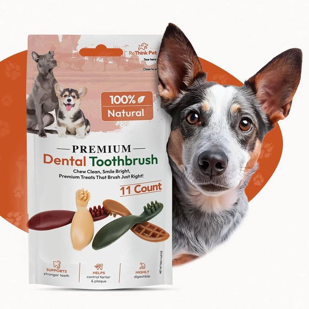 مسواک دندان