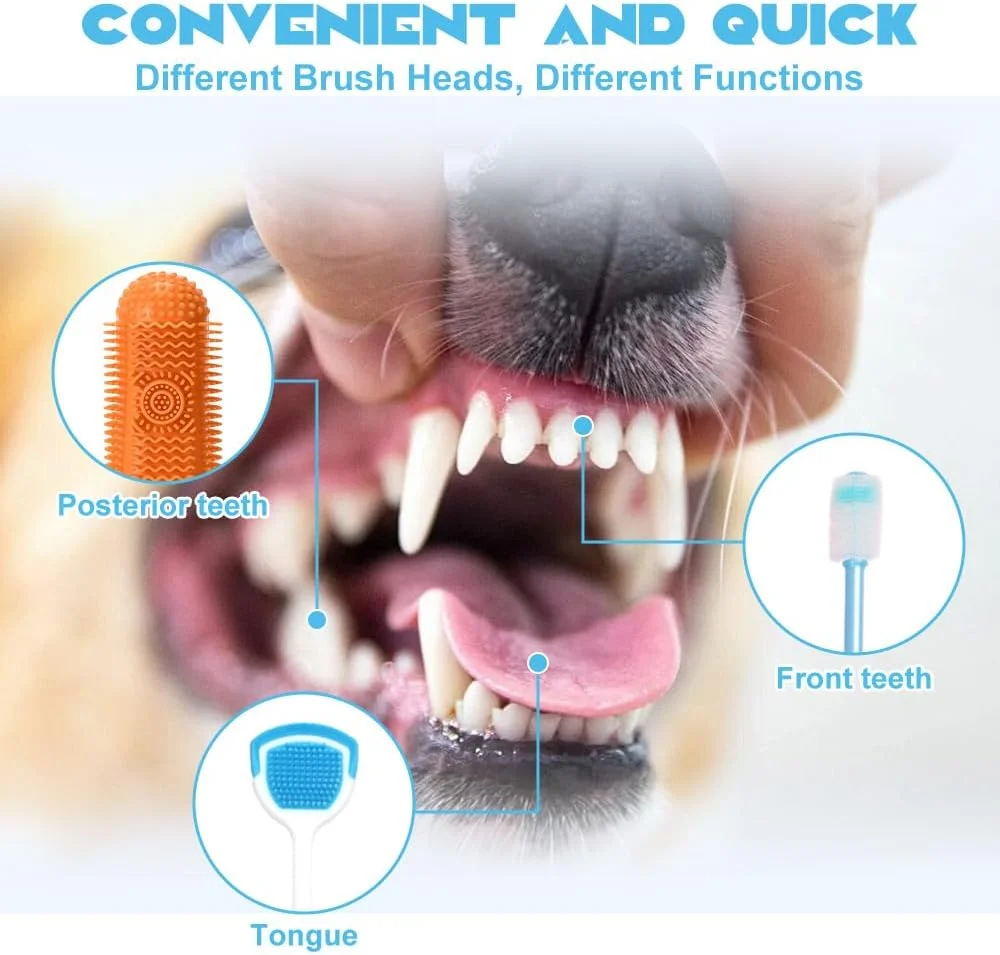 مجموعه مسواک سگ (6 عددی) - 4 مسواک انگشتی، برس چرخشی و تمیز کننده زبان برای مراقبت کامل از دندان سگ