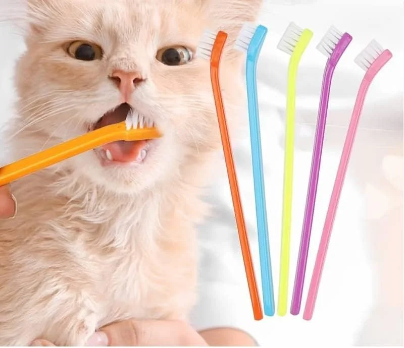 مجموعه ۳ عددی مسواک مینی حیوانات خانگی پتز امپایر برای سگ و گربه کوچک، مسواک نرم مراقبت از دندان و بهداشت دهان سگ و گربه (رنگ ممکن است متفاوت باشد)