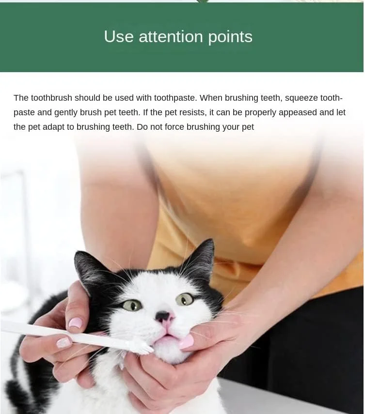 مجموعه ۳ عددی مسواک مینی حیوانات خانگی پتز امپایر برای سگ و گربه کوچک، مسواک نرم مراقبت از دندان و بهداشت دهان سگ و گربه (رنگ ممکن است متفاوت باشد)