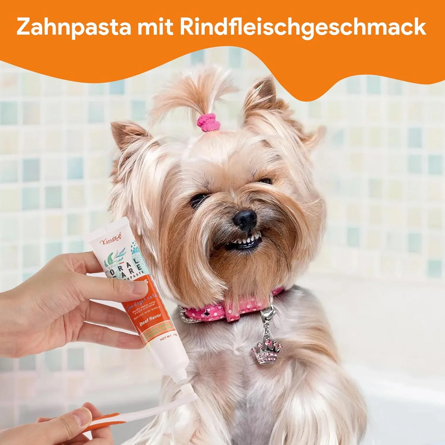 مجموعه مراقبت از دندان سگ، مسواک انگشتی سگ قابل استفاده مجدد، مجموعه خمیر دندان سگ ضد جرم، خمیر دندان سگ ضد جرم، مسواک سگ، مراقبت از دندان سگ، مجموعه مسواک سگ